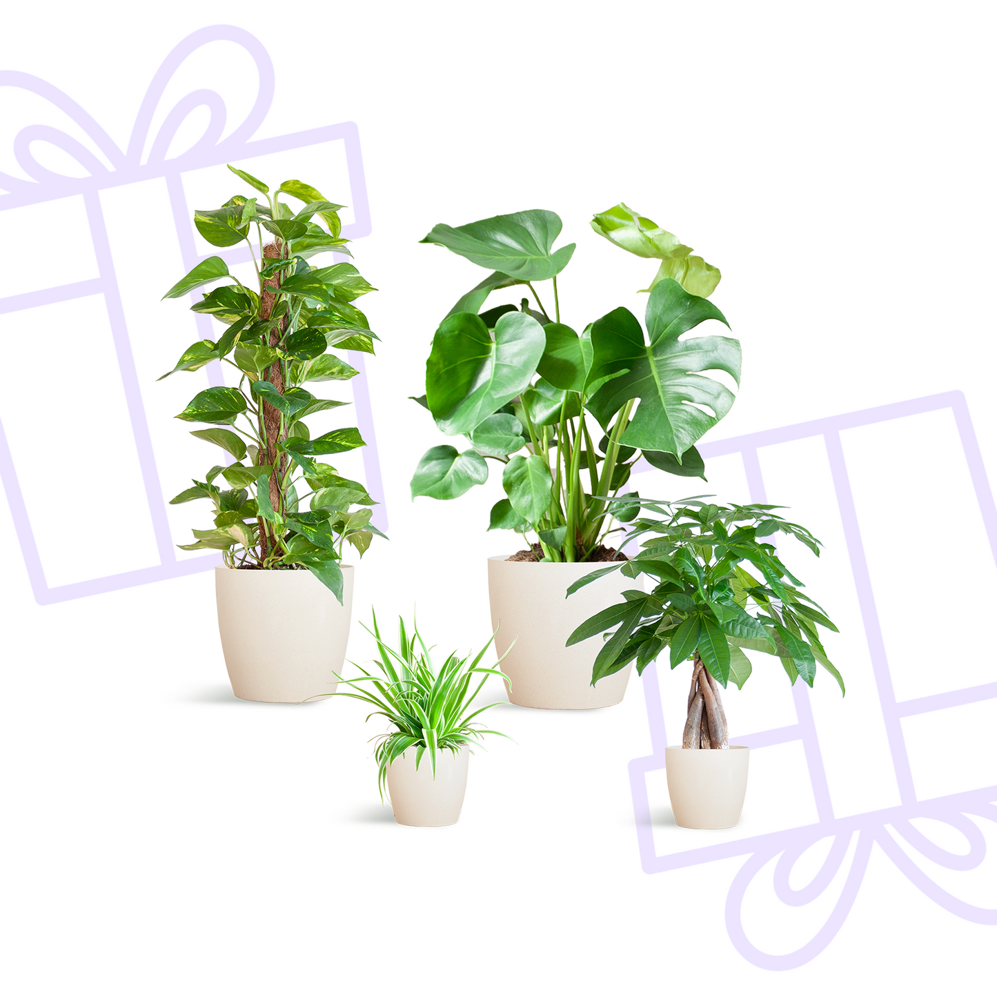 Easy care Plantenbox - medium - met vibers pot wit