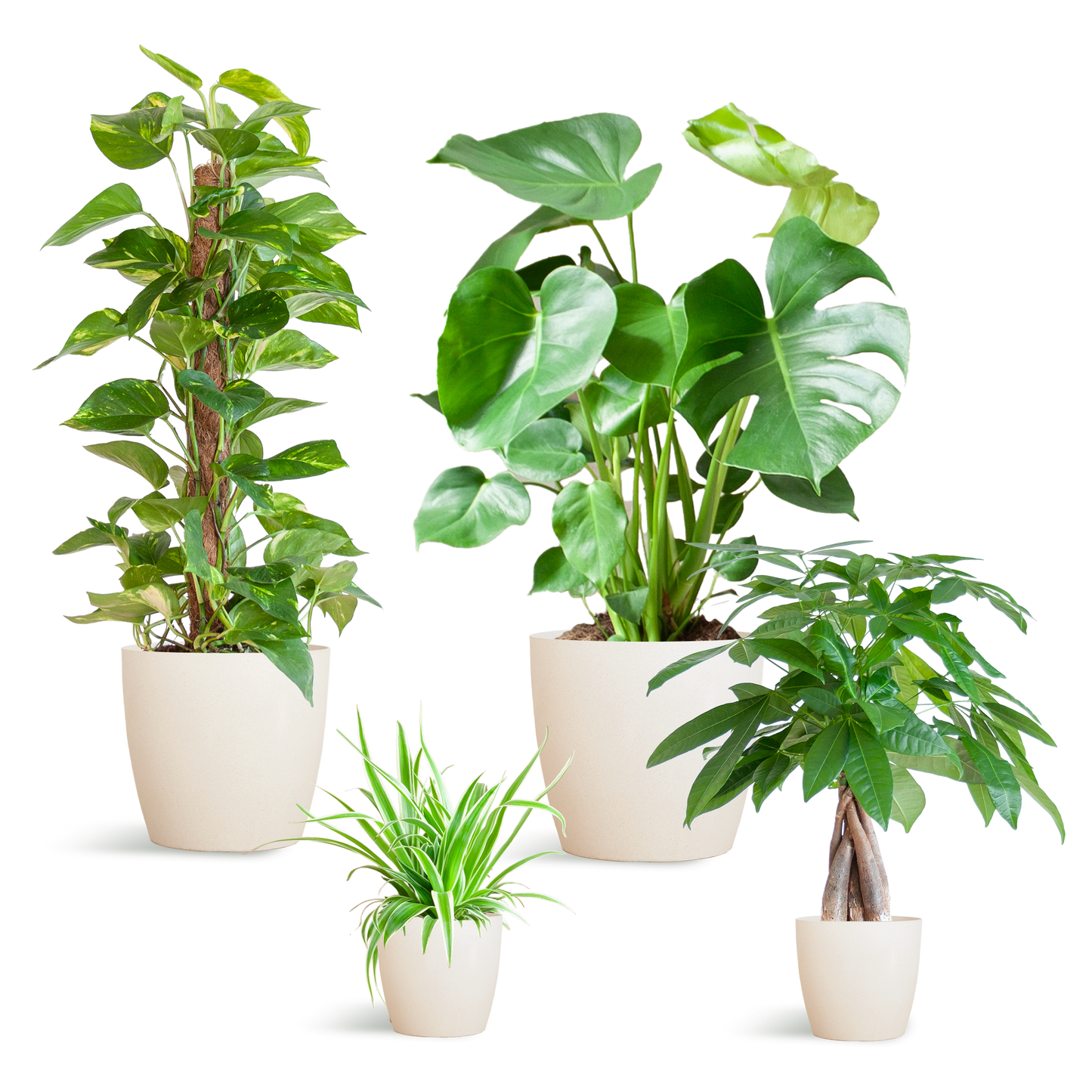 Easy care Plantenbox - medium - met vibers pot wit