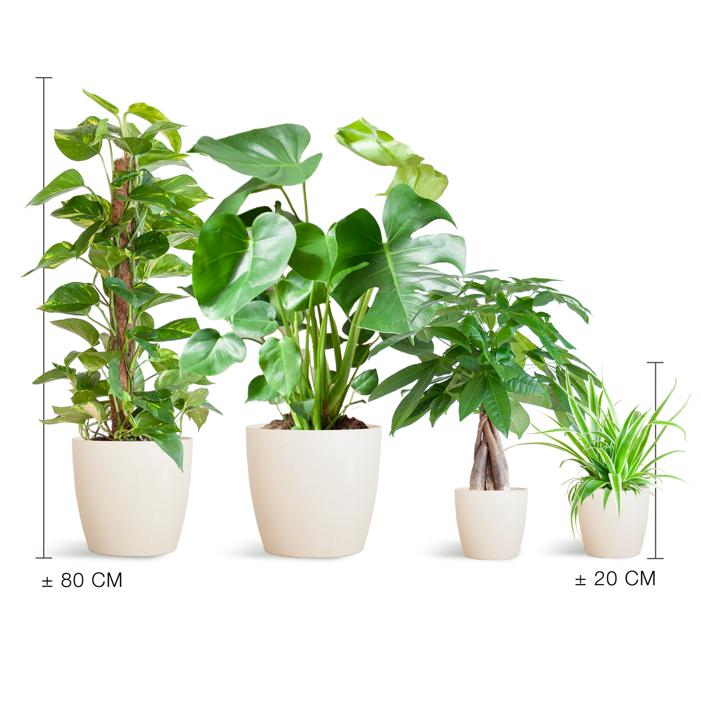 Easy care Plantenbox - medium - met vibers pot wit