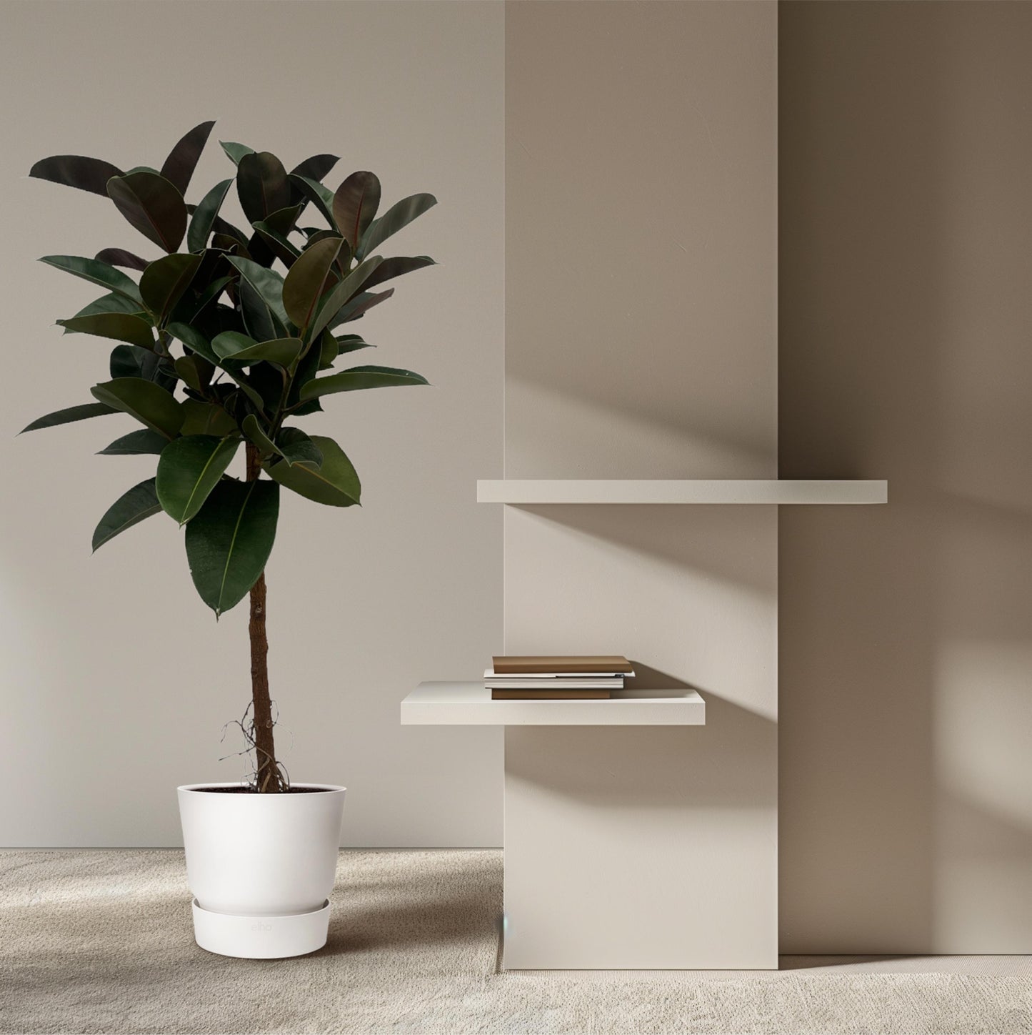 Ficus Elastica Robusta stam - 140 cm