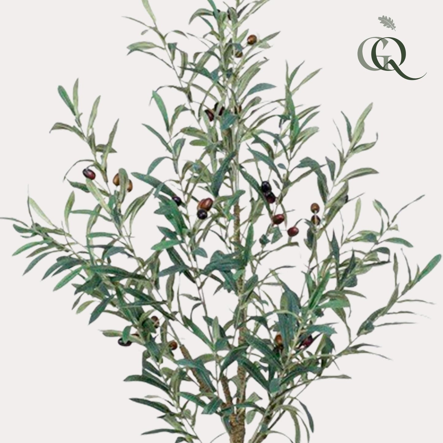 Kunst Olijfboom - Olea europaea - Olijfboom - 115 cm - Forest Plants