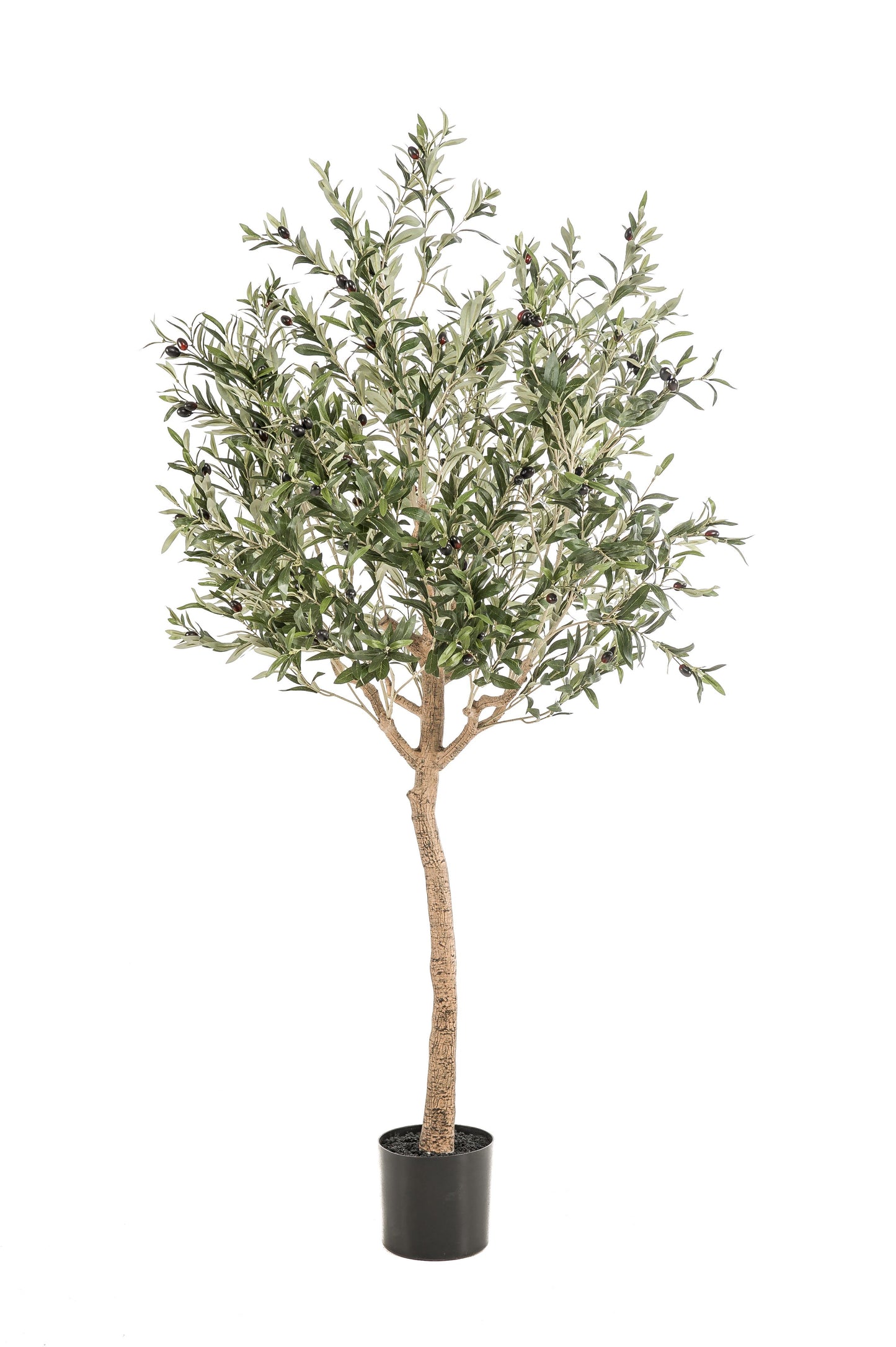 Kunst_Olijfboom_Olea_Europaea_180_cm_Forest_Plants 2