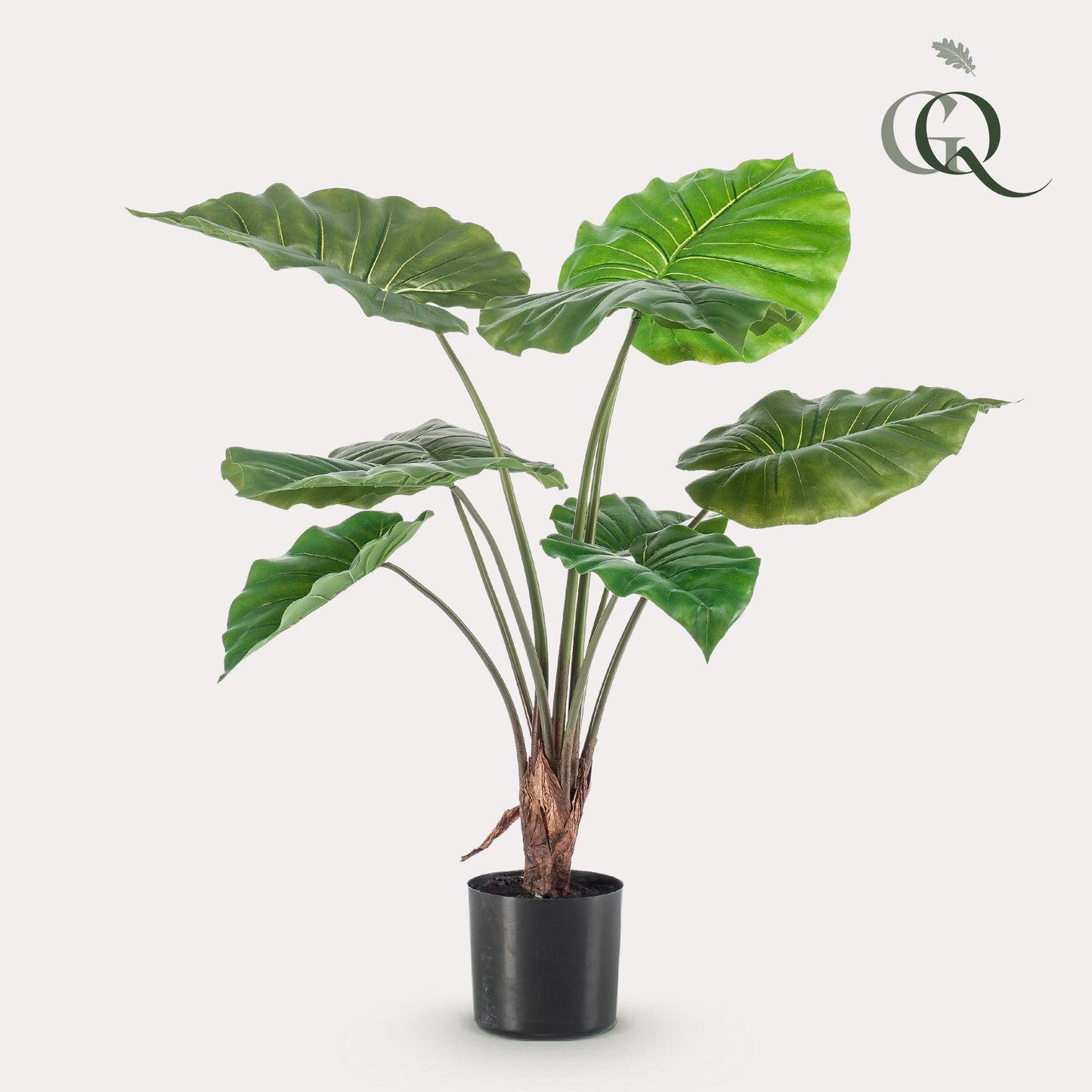 Kunstplant - Alocasia - Olifantsoor - 70 cm - Forest Plants