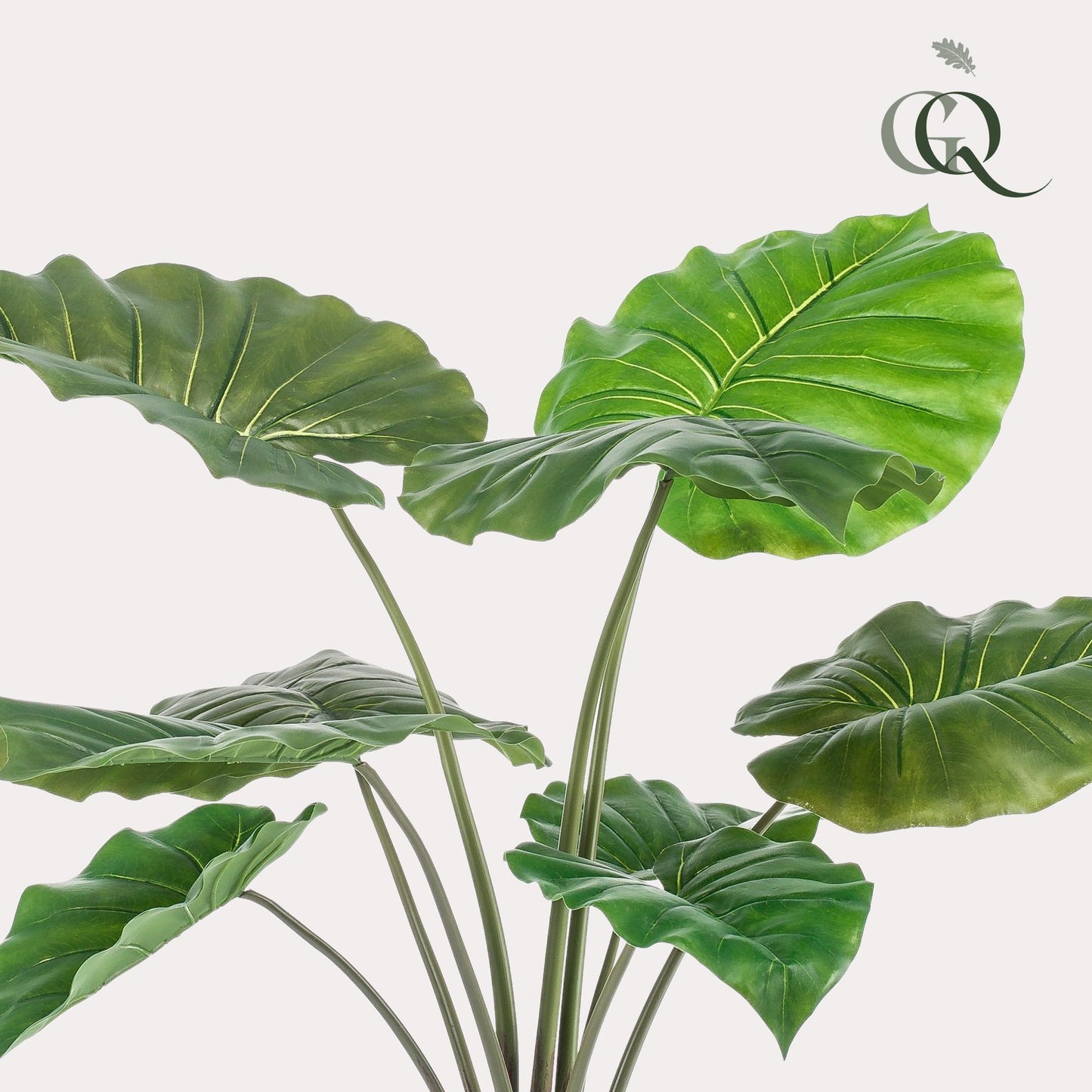 Kunstplant - Alocasia - Olifantsoor - 70 cm - Forest Plants