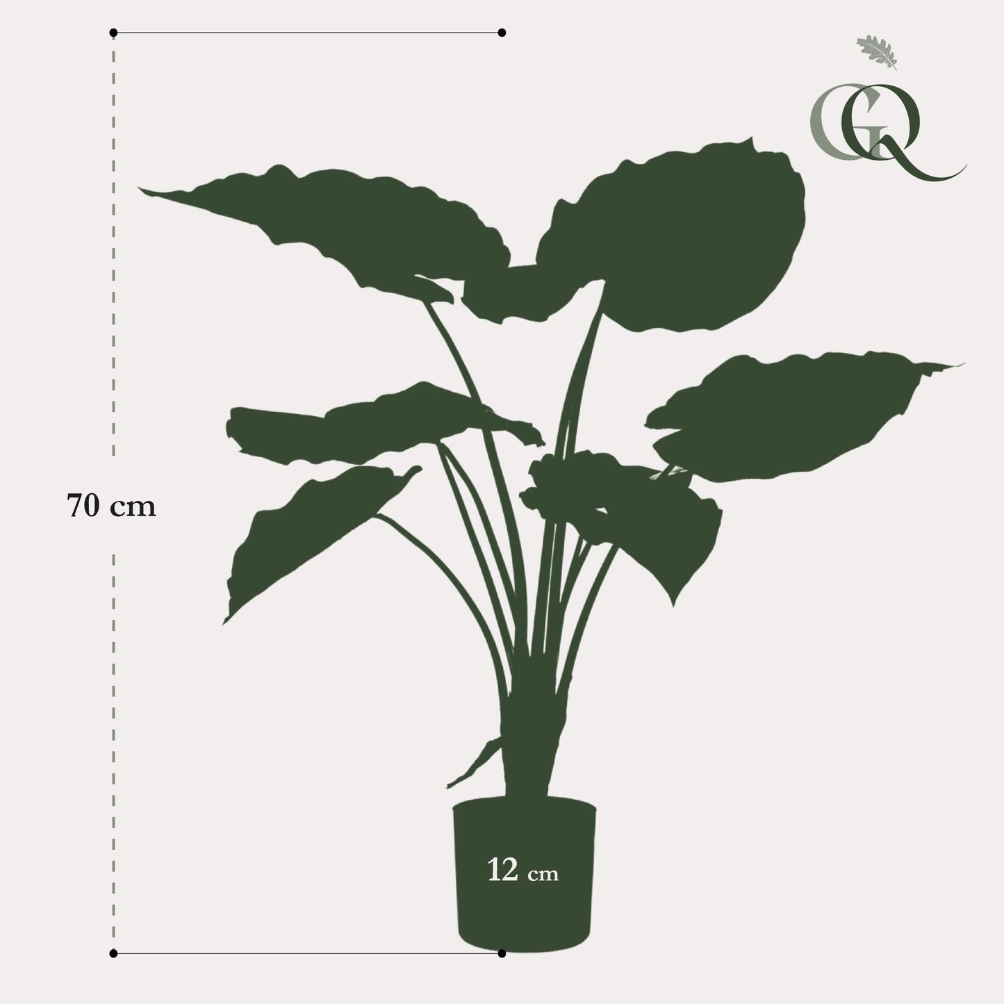 Kunstplant - Alocasia - Olifantsoor - 70 cm - Forest Plants