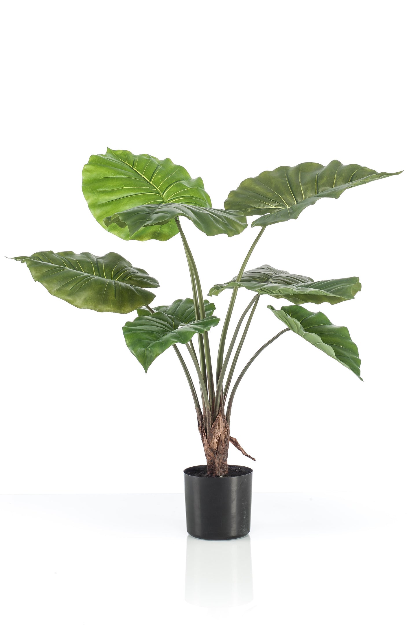 Kunstplant - Alocasia - Olifantsoor - 70 cm - Forest Plants