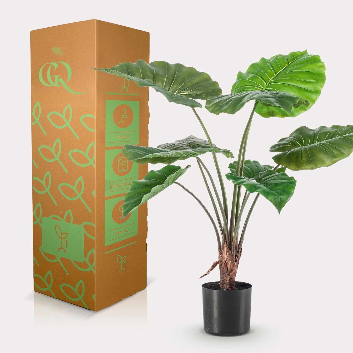 Kunstplant - Alocasia - Olifantsoor - 70 cm - Forest Plants