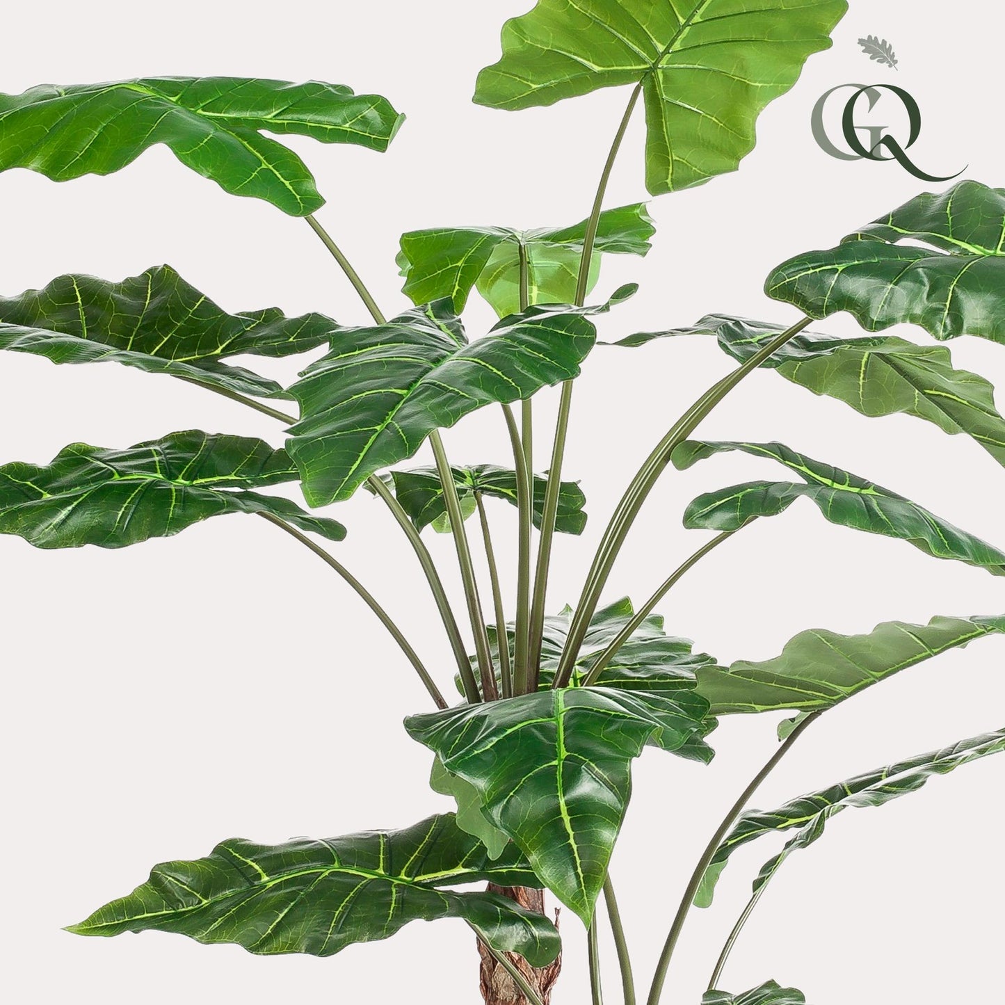 Kunstplant - Alocasia - Olifantsoor - 180 cm - Forest Plants