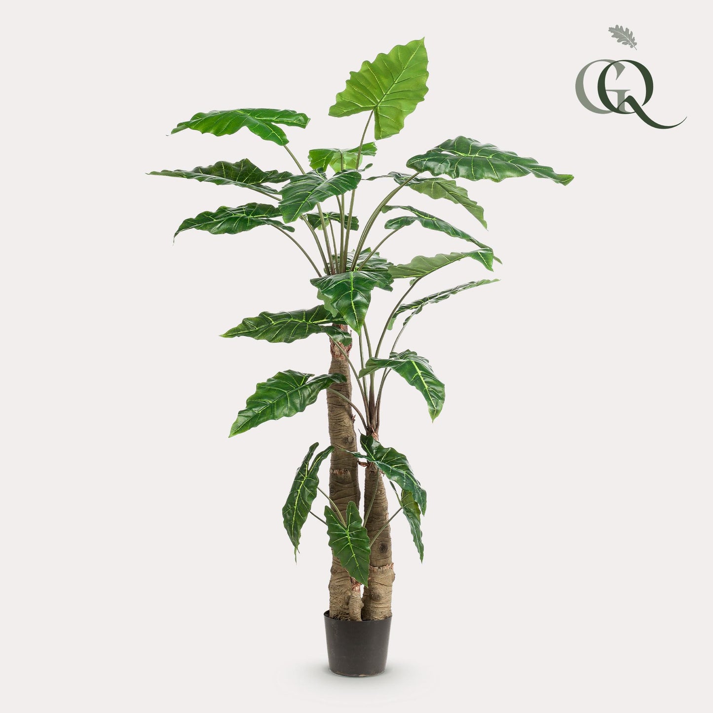 Kunstplant - Alocasia - Olifantsoor - 180 cm - Forest Plants