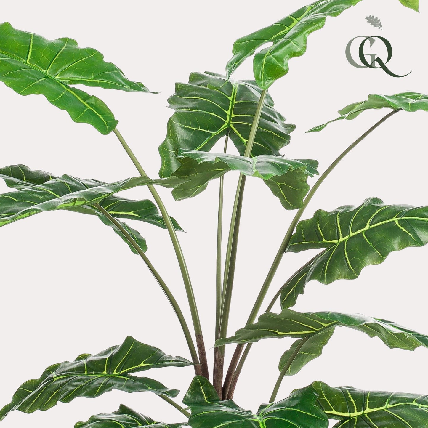 Kunstplant - Alocasia - Olifantsoor - 150 cm - Forest Plants