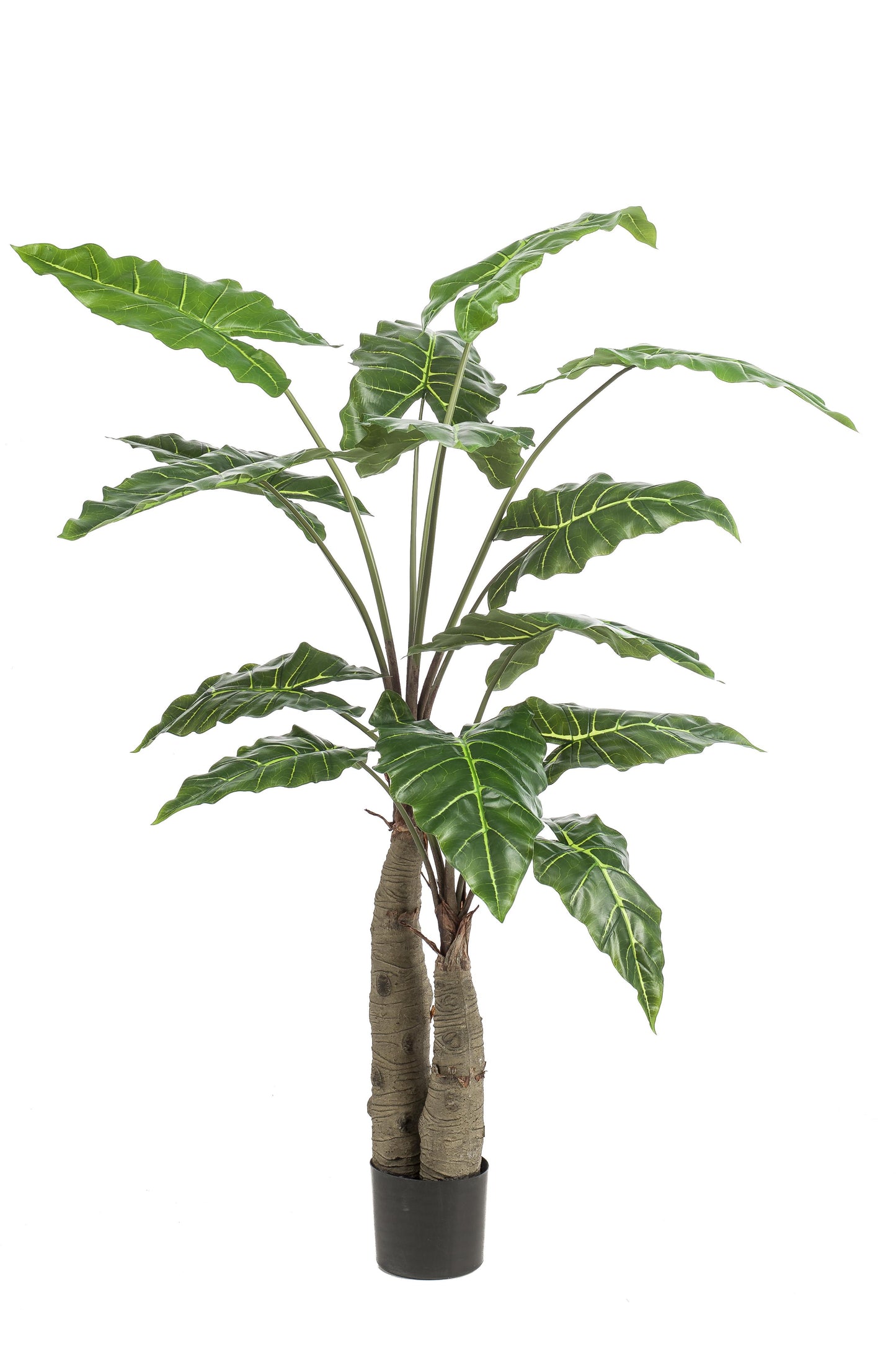 Kunstplant - Alocasia - Olifantsoor - 150 cm - Forest Plants