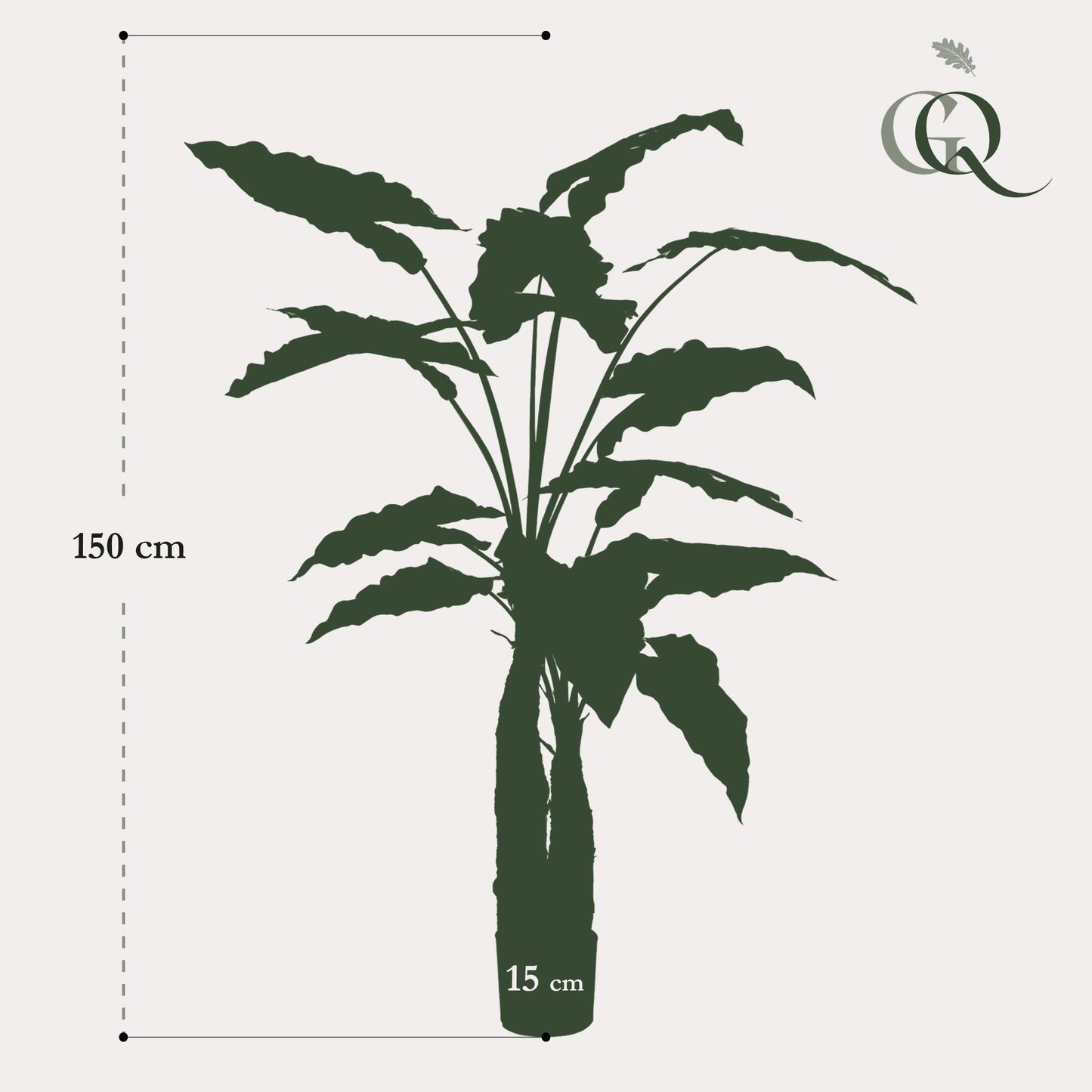Kunstplant - Alocasia - Olifantsoor - 150 cm - Forest Plants
