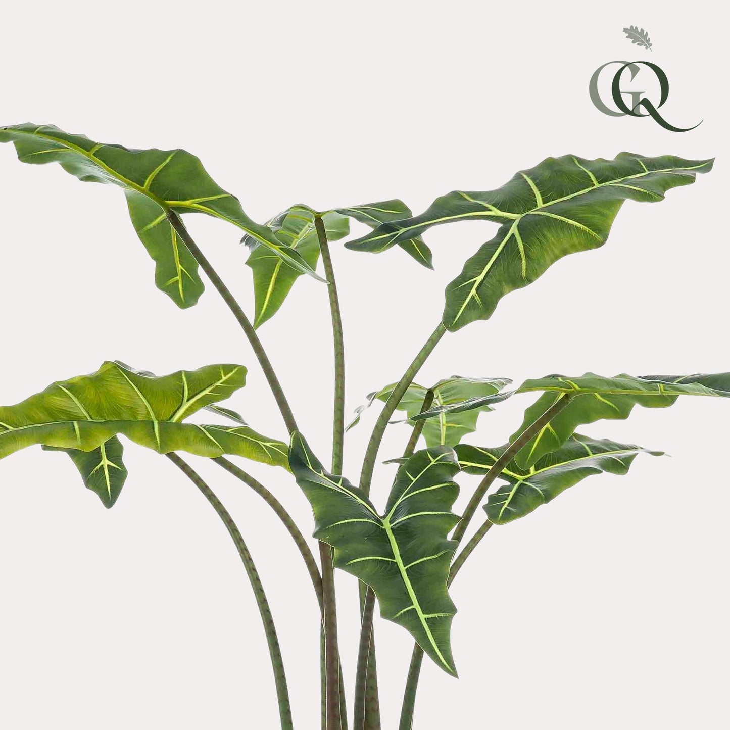 Kunstplant - Alocasia Frydek - Olifantsoor - 120 cm - Forest Plants