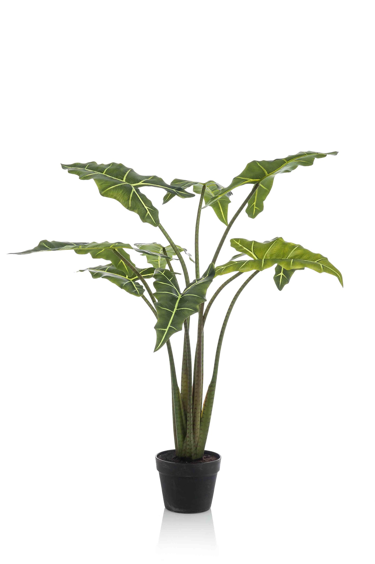 Kunstplant - Alocasia Frydek - Olifantsoor - 120 cm - Forest Plants