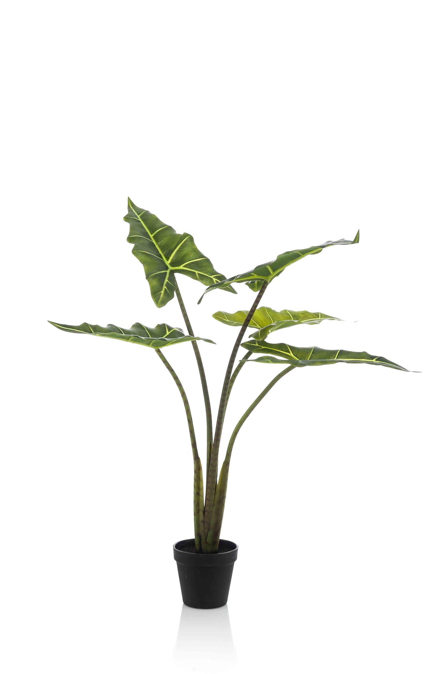 Kunstplant - Alocasia Frydek - Olifantsoor - 80 cm - Forest Plants