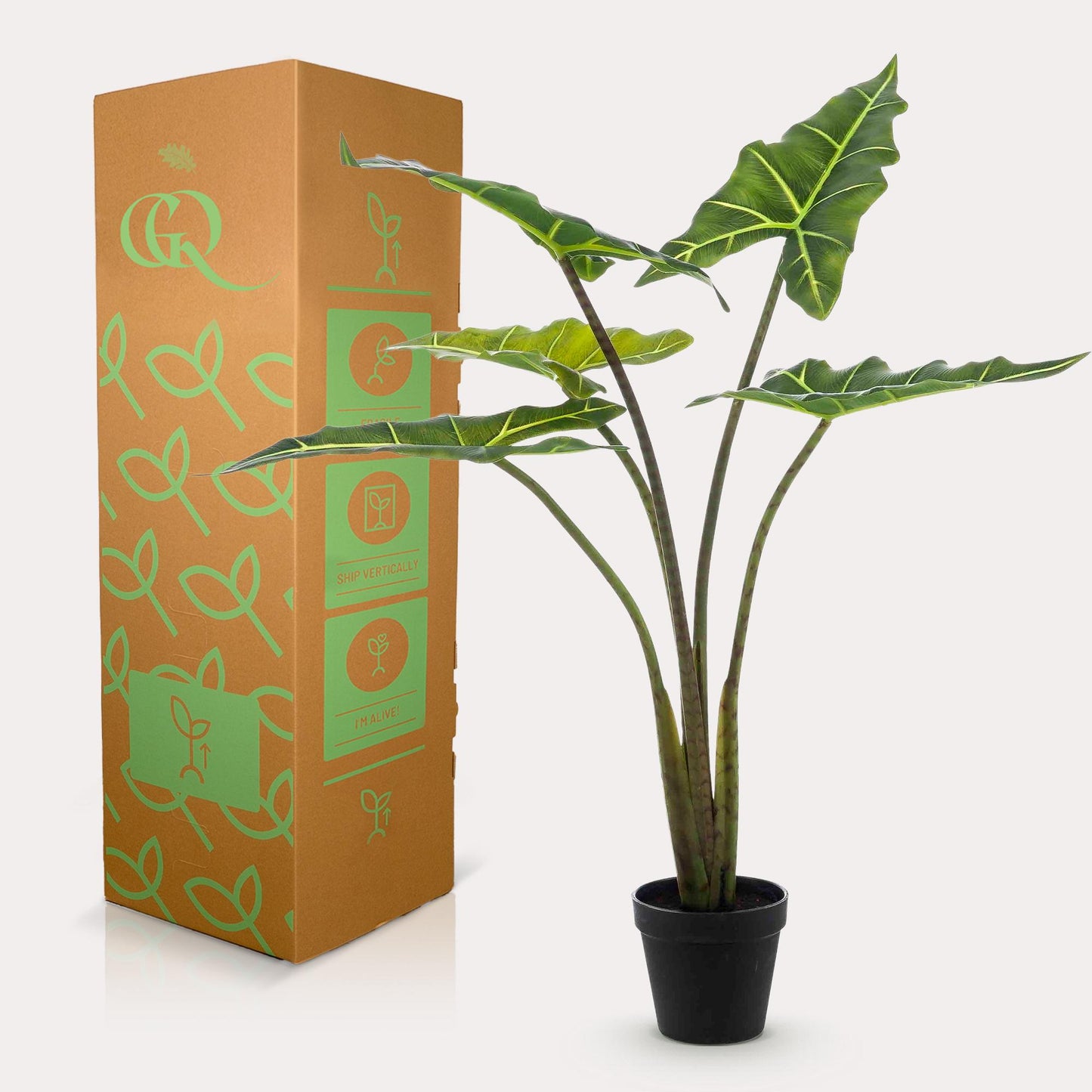 Kunstplant - Alocasia Frydek - Olifantsoor - 80 cm - Forest Plants