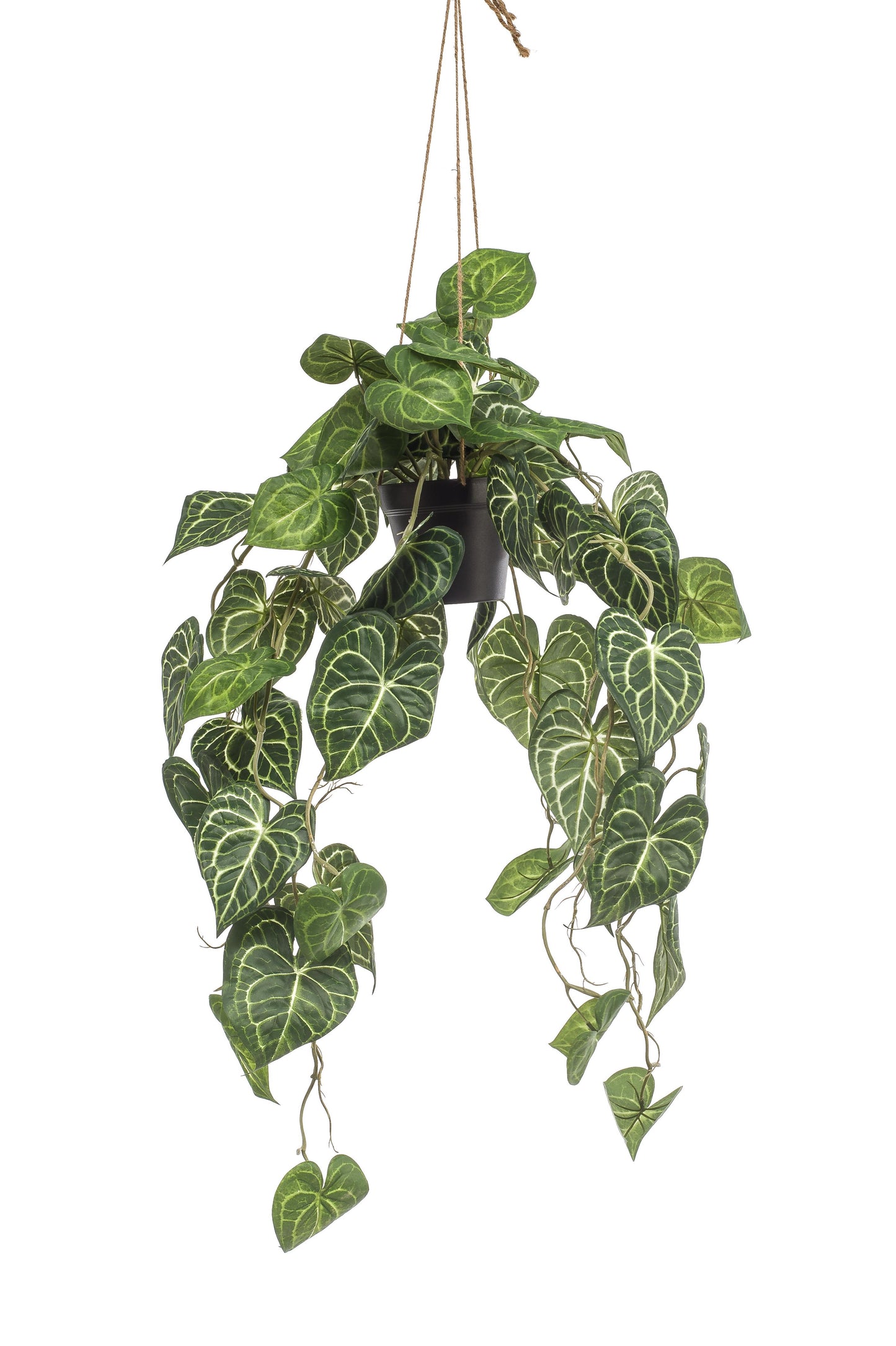 Kunstplant - Anthurium Clarinervium - Aderplant - 80 cm - Forest Plants