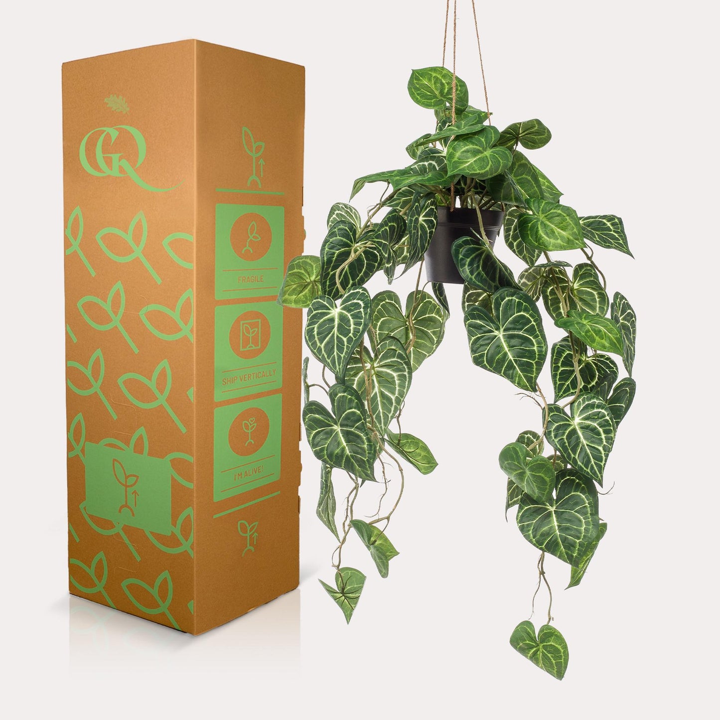 Kunstplant - Anthurium Clarinervium - Aderplant - 80 cm - Forest Plants