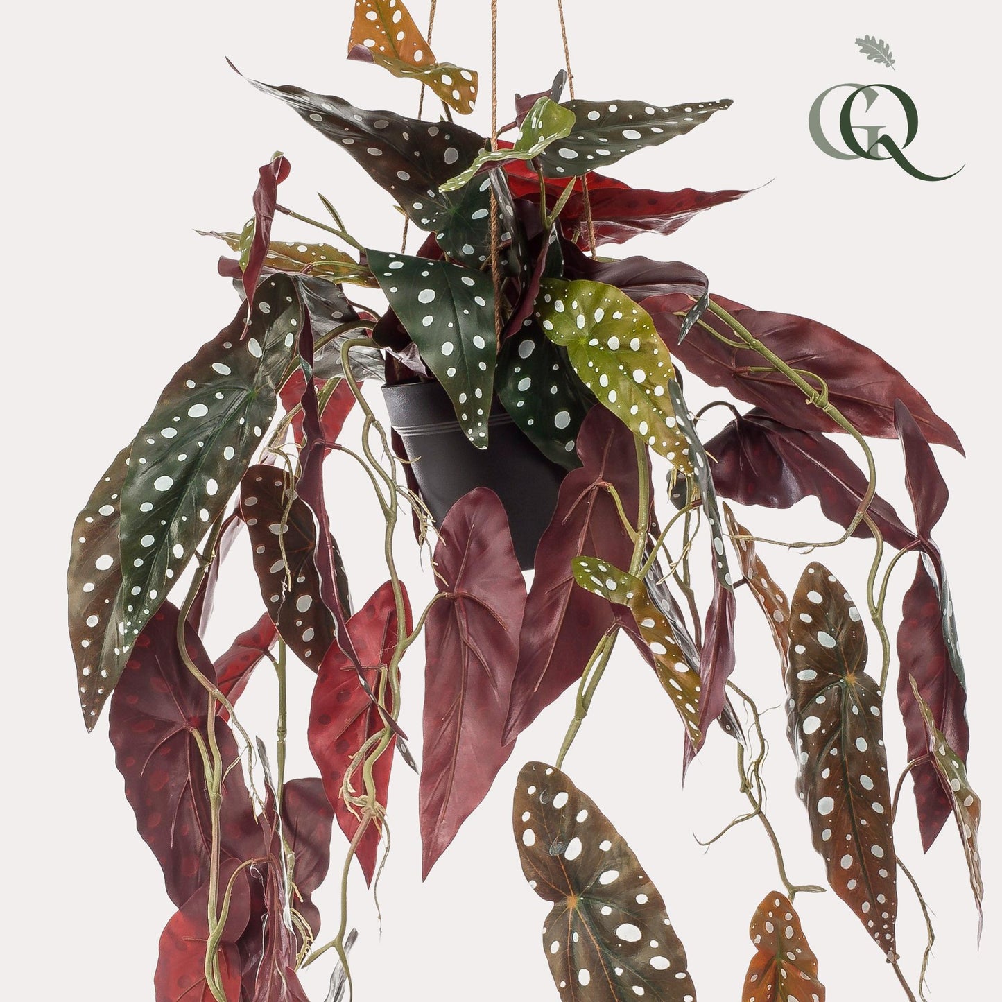 Kunstplant - Begonia Maculata - Stippenbegonia - 80 cm - Forest Plants