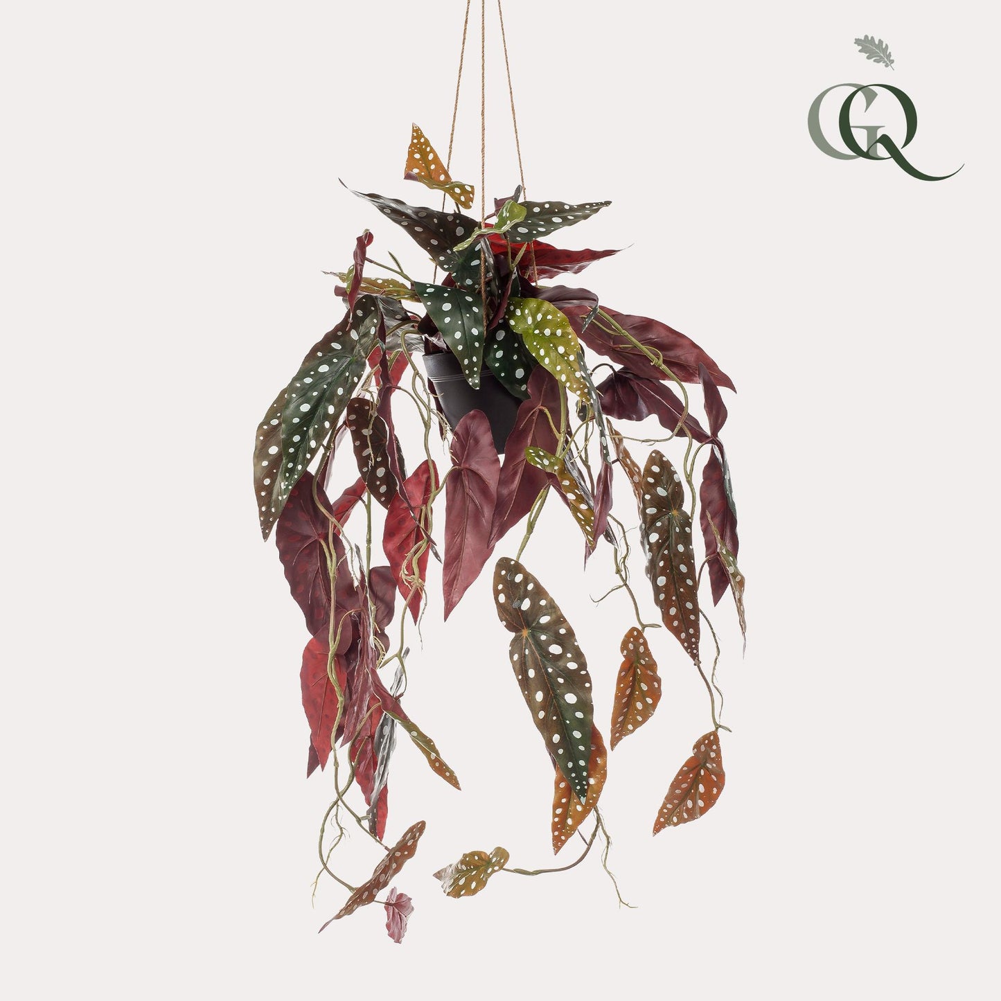 Kunstplant - Begonia Maculata - Stippenbegonia - 80 cm - Forest Plants
