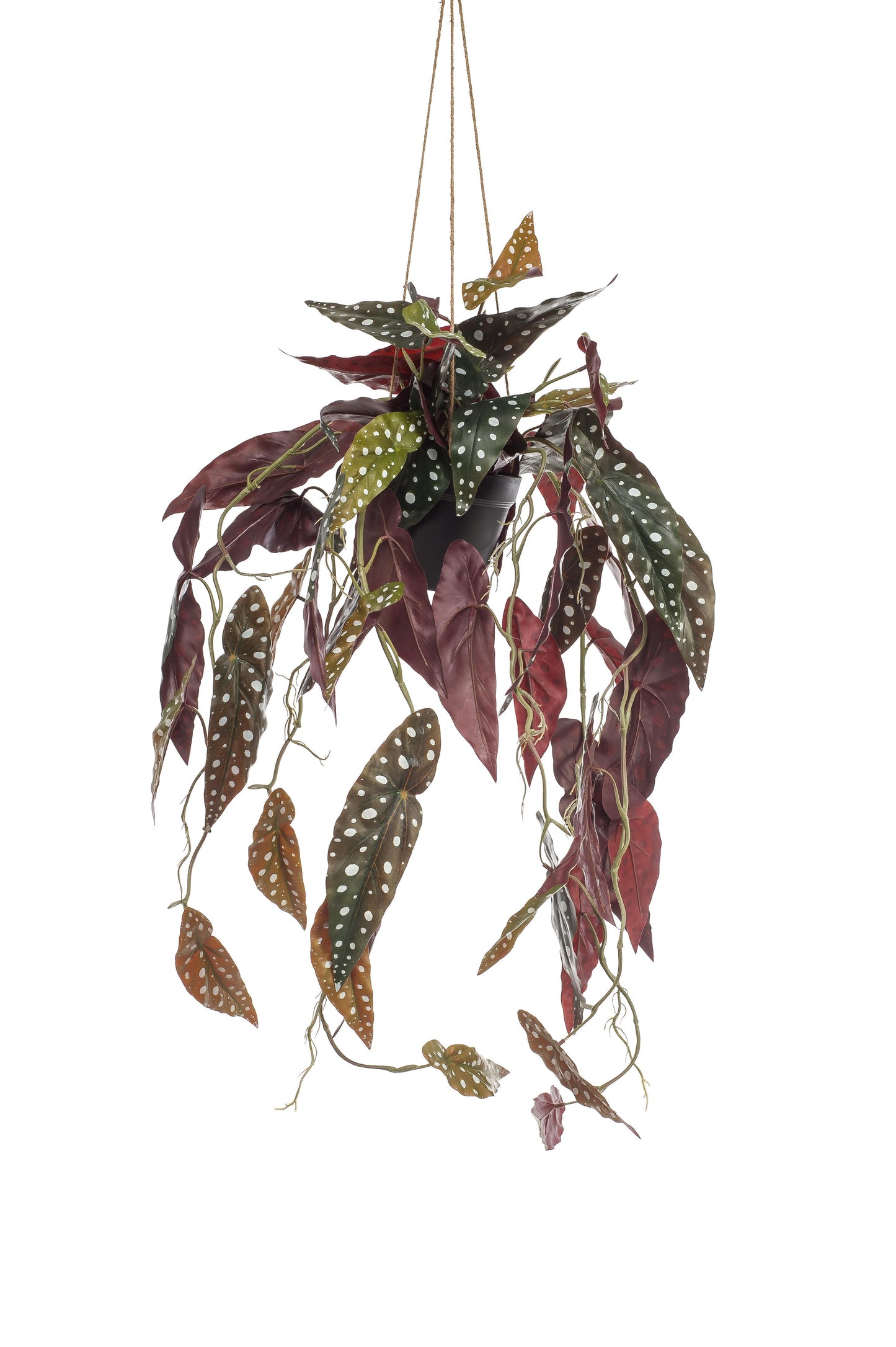Kunstplant - Begonia Maculata - Stippenbegonia - 80 cm - Forest Plants