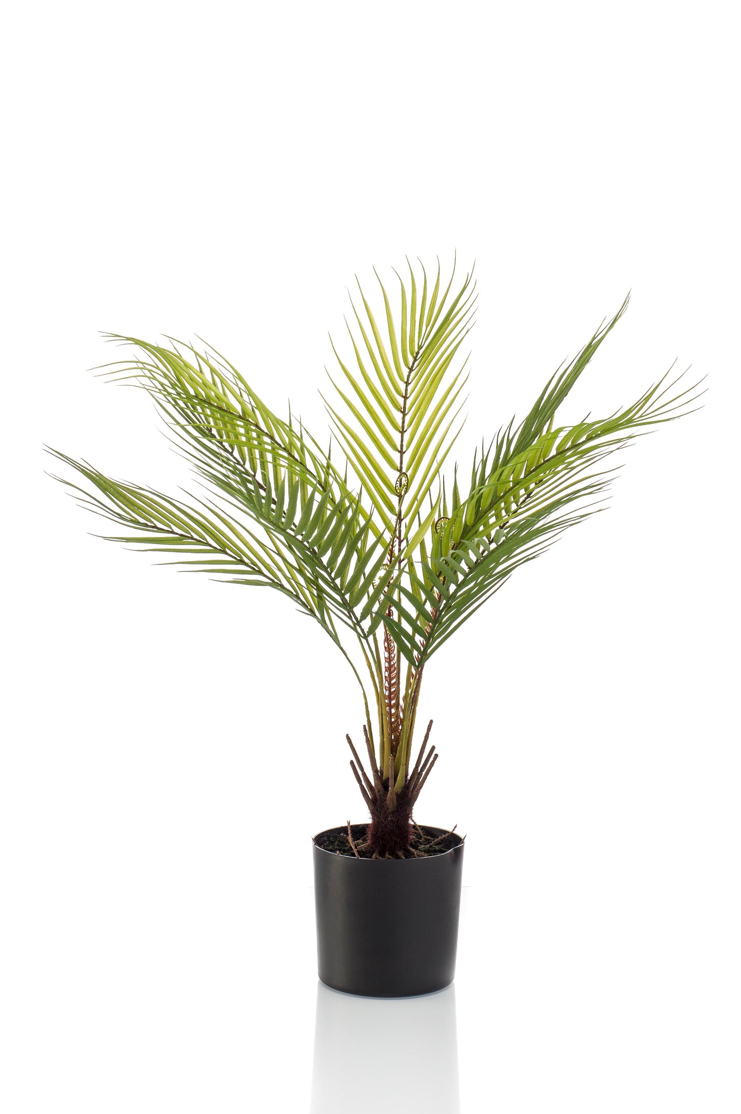 Kunstplant - Chamaedorea - Bergpalm - 50 cm - Forest Plants