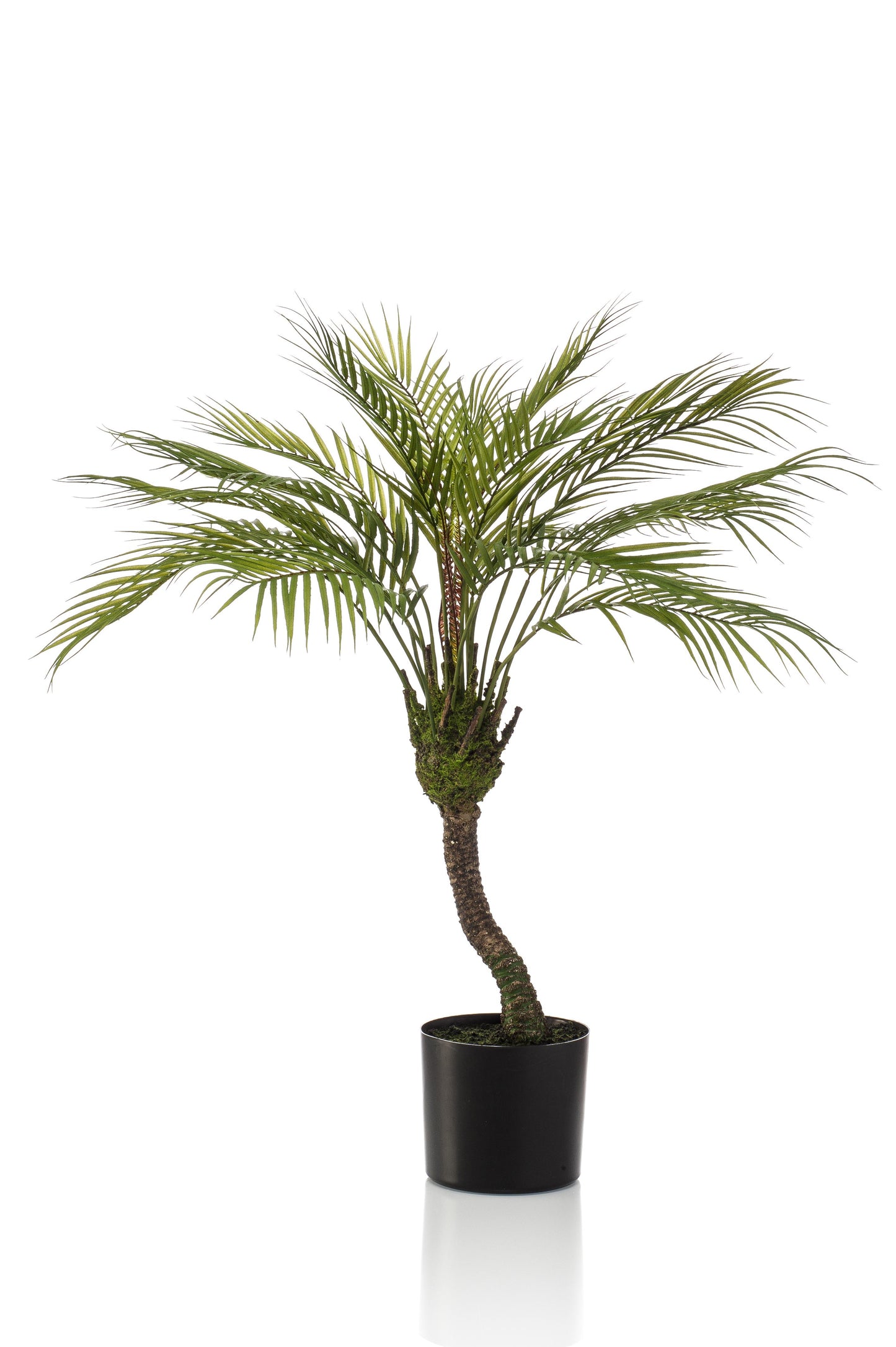 Kunstplant - Chamaedorea - Bergpalm - 85 cm - Forest Plants