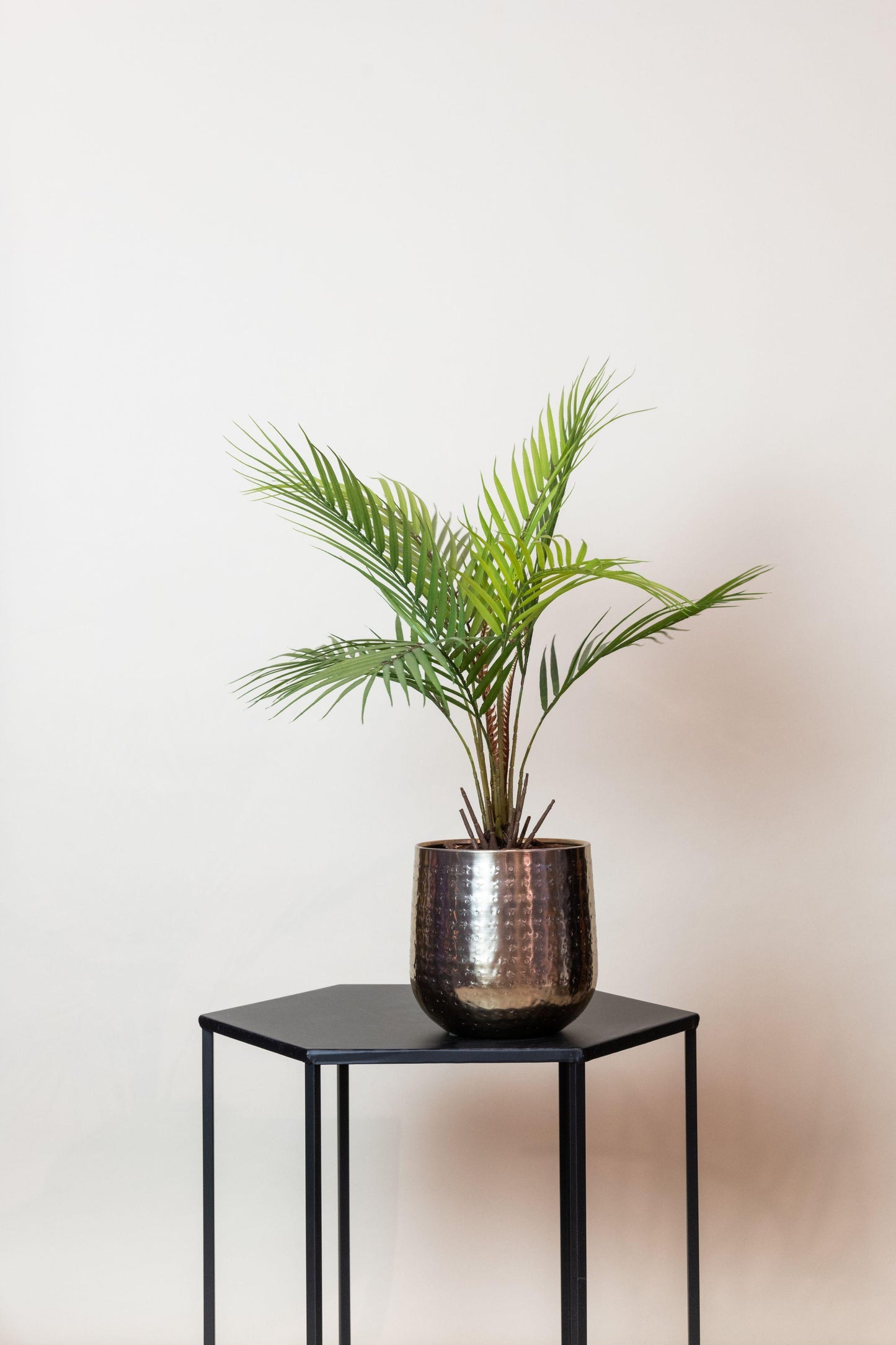 Kunstplant - Chamaedorea - Bergpalm - 50 cm - Forest Plants