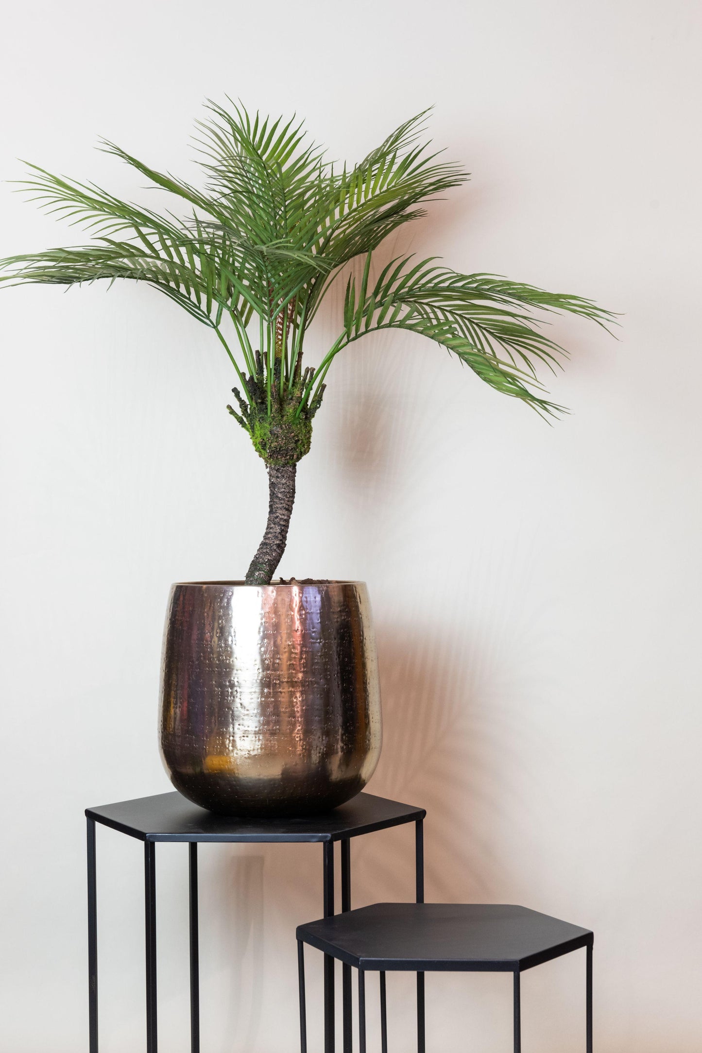 Kunstplant - Chamaedorea - Bergpalm - 85 cm - Forest Plants