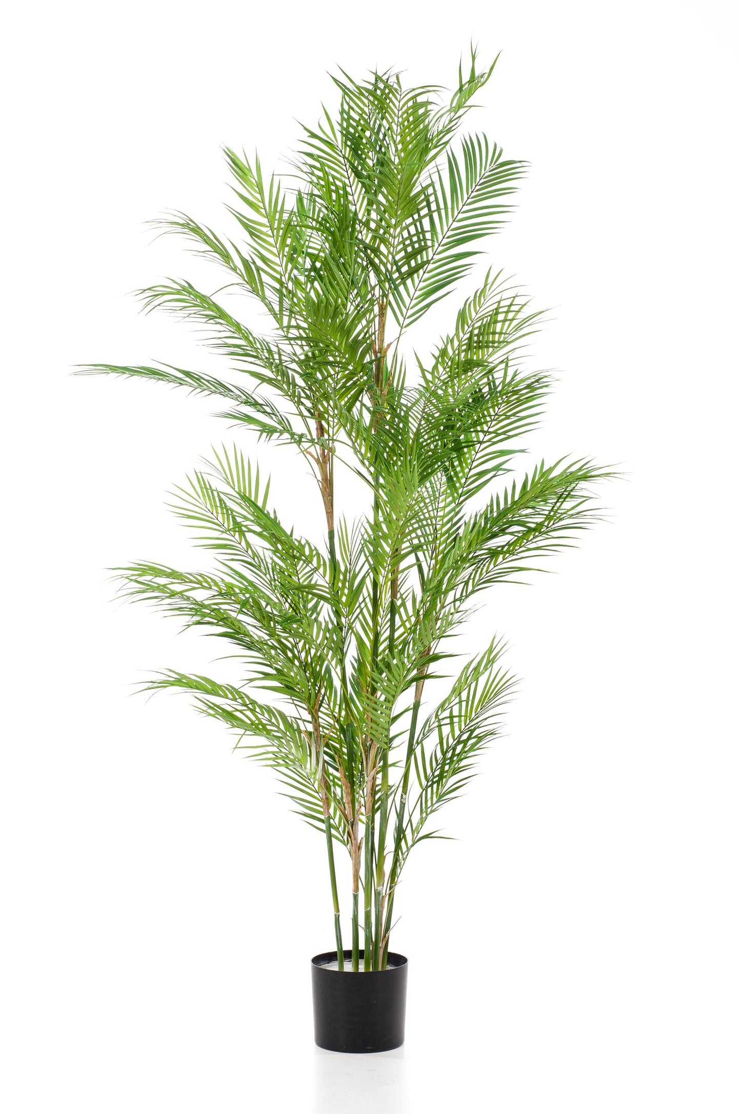 Kunstplant - Chamaedorea Elegans - Bergpalm - 180 cm - Forest Plants