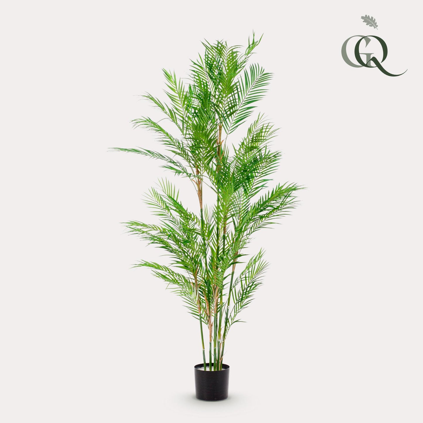 Kunstplant - Chamaedorea Elegans - Bergpalm - 180 cm - Forest Plants