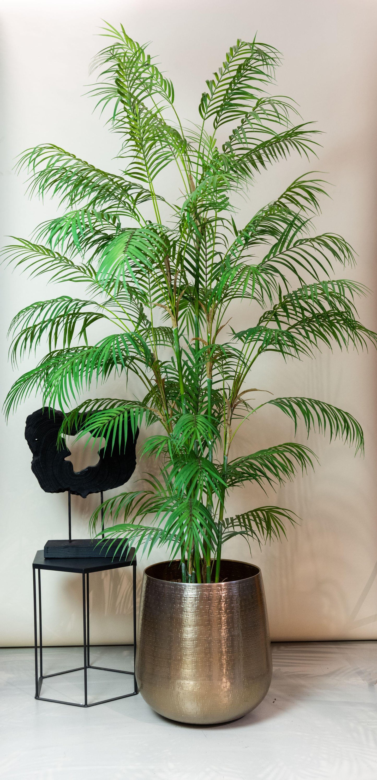 Kunstplant - Chamaedorea Elegans - Bergpalm - 180 cm - Forest Plants