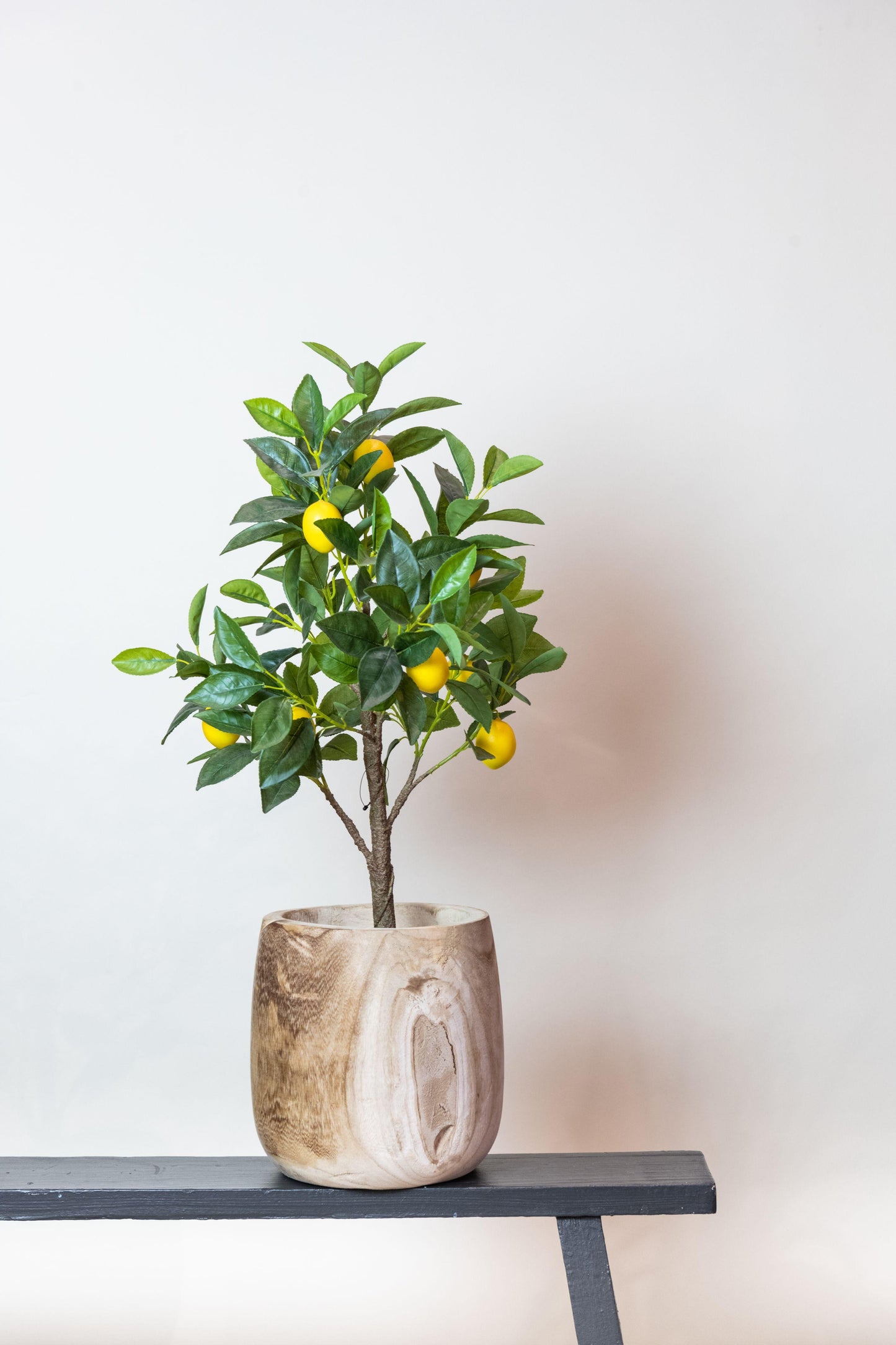 Kunstplant - Citrus Limonia - Citroenboom - 75 cm - Forest Plants