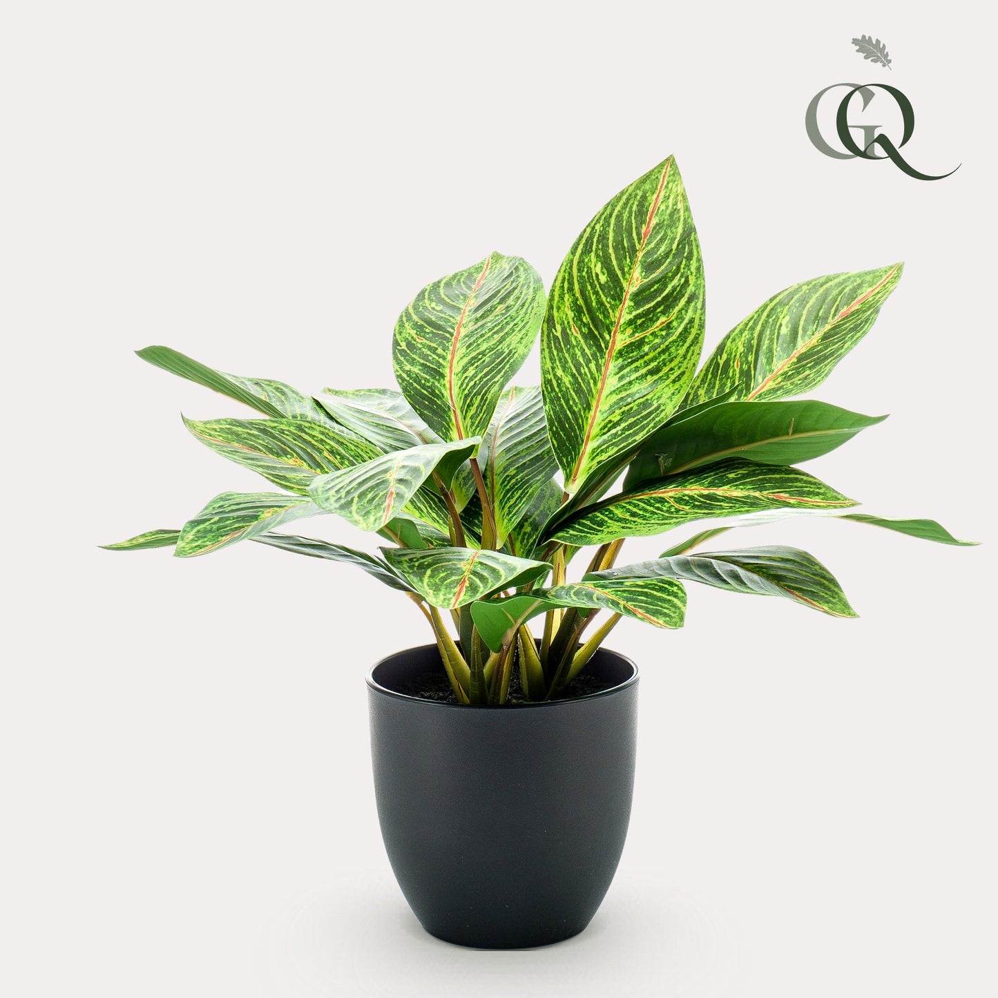 Kunstplant - Croton Codiaeum - Wonderstruik - 38 cm - Forest Plants
