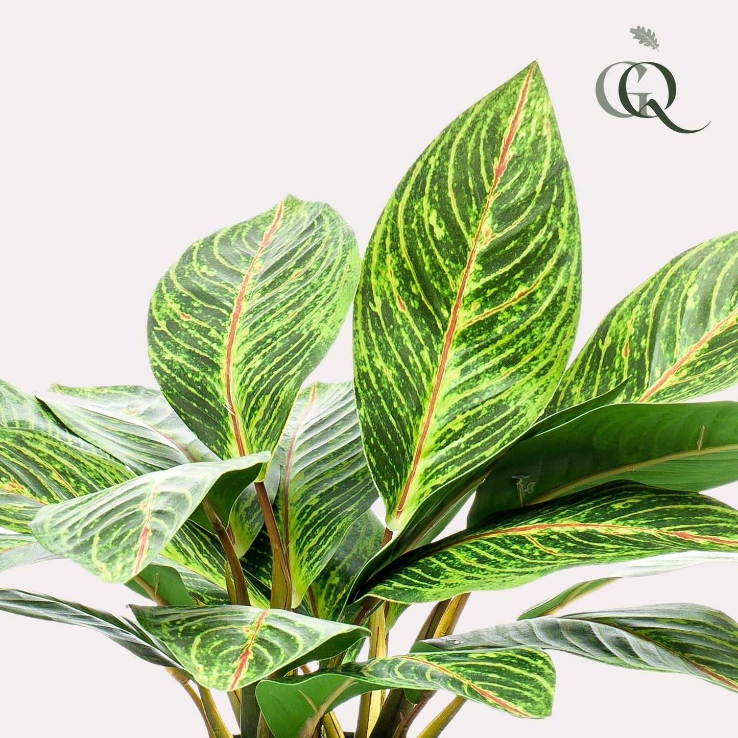 Kunstplant - Croton Codiaeum - Wonderstruik - 38 cm - Forest Plants