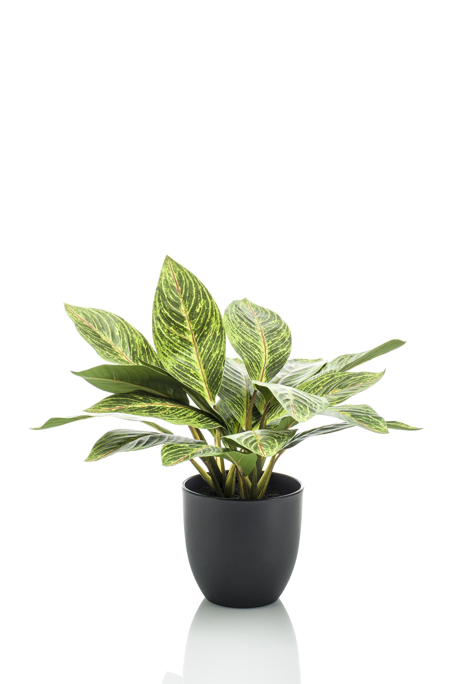 Kunstplant - Croton Codiaeum - Wonderstruik - 38 cm - Forest Plants