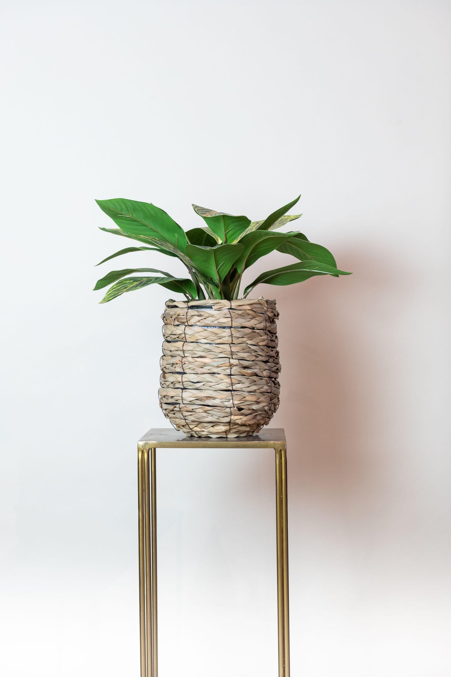 Kunstplant - Croton Codiaeum - Wonderstruik - 38 cm - Forest Plants