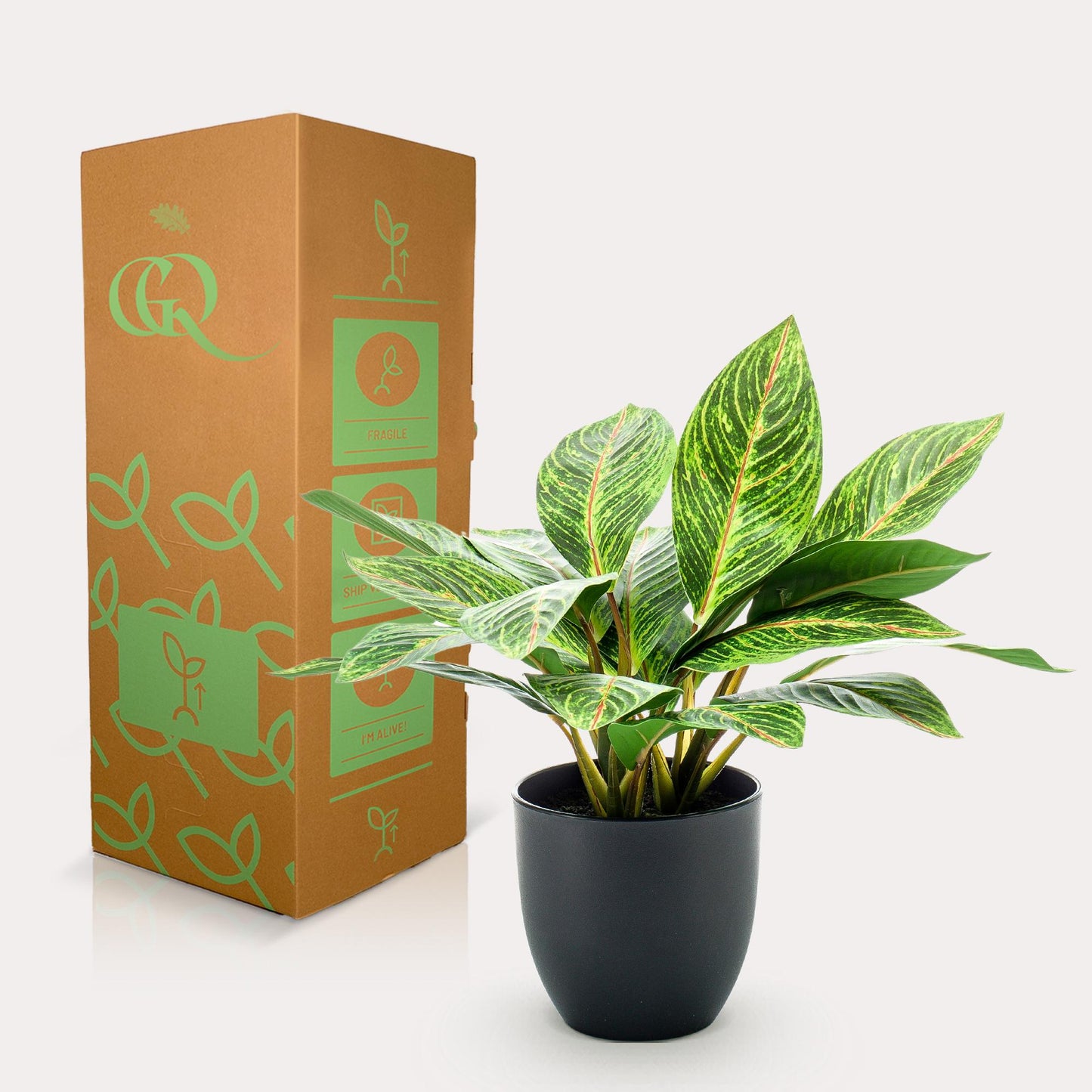 Kunstplant - Croton Codiaeum - Wonderstruik - 38 cm - Forest Plants