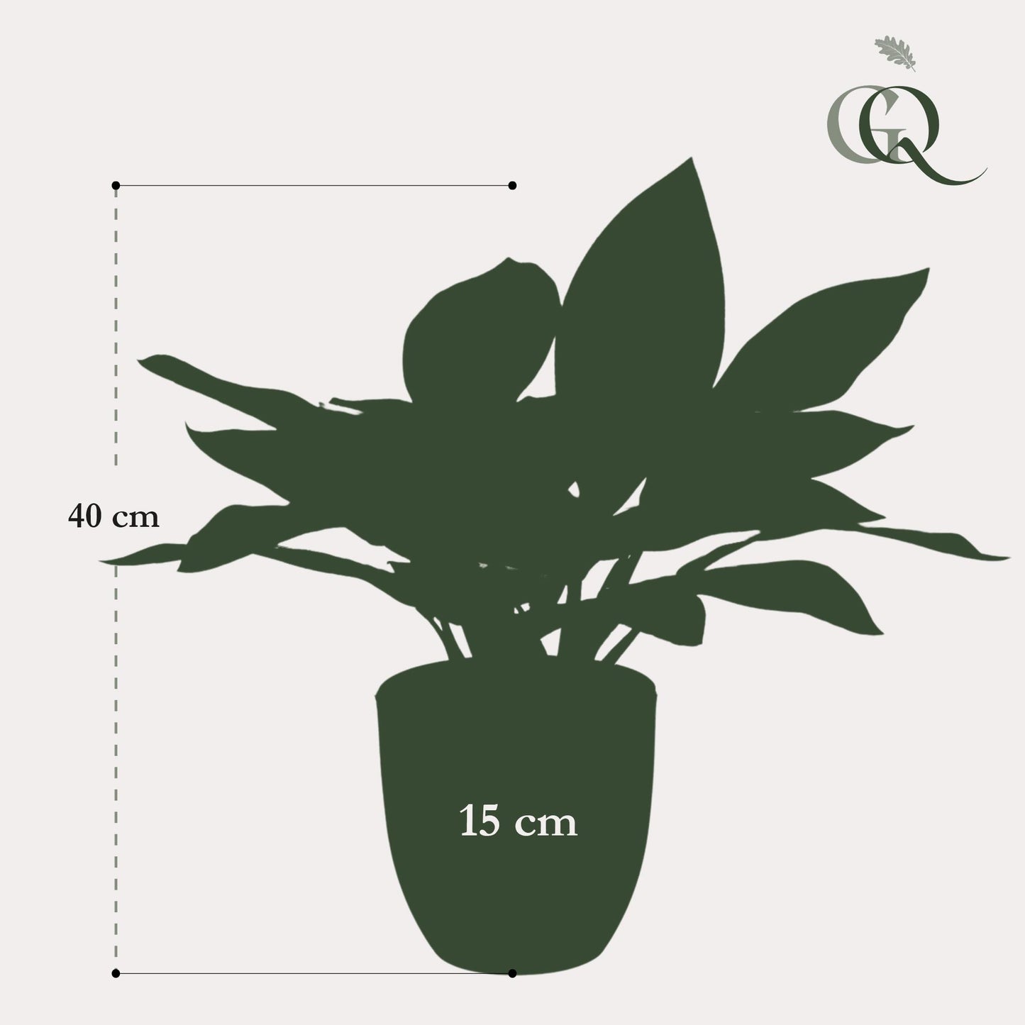 Kunstplant - Croton Codiaeum - Wonderstruik - 38 cm - Forest Plants
