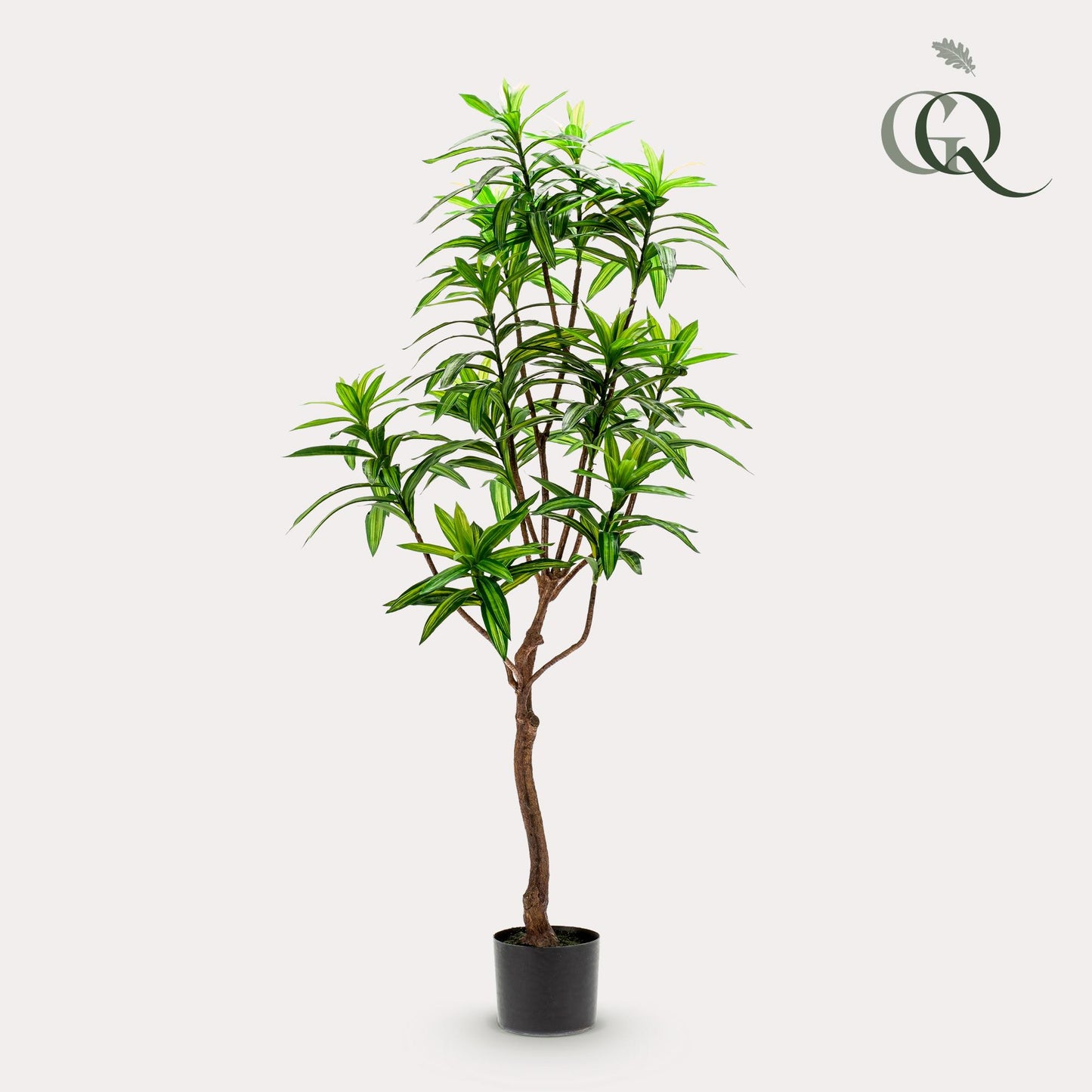 Kunstplant - Dracaena - Drakenboom - 130 cm - Forest Plants