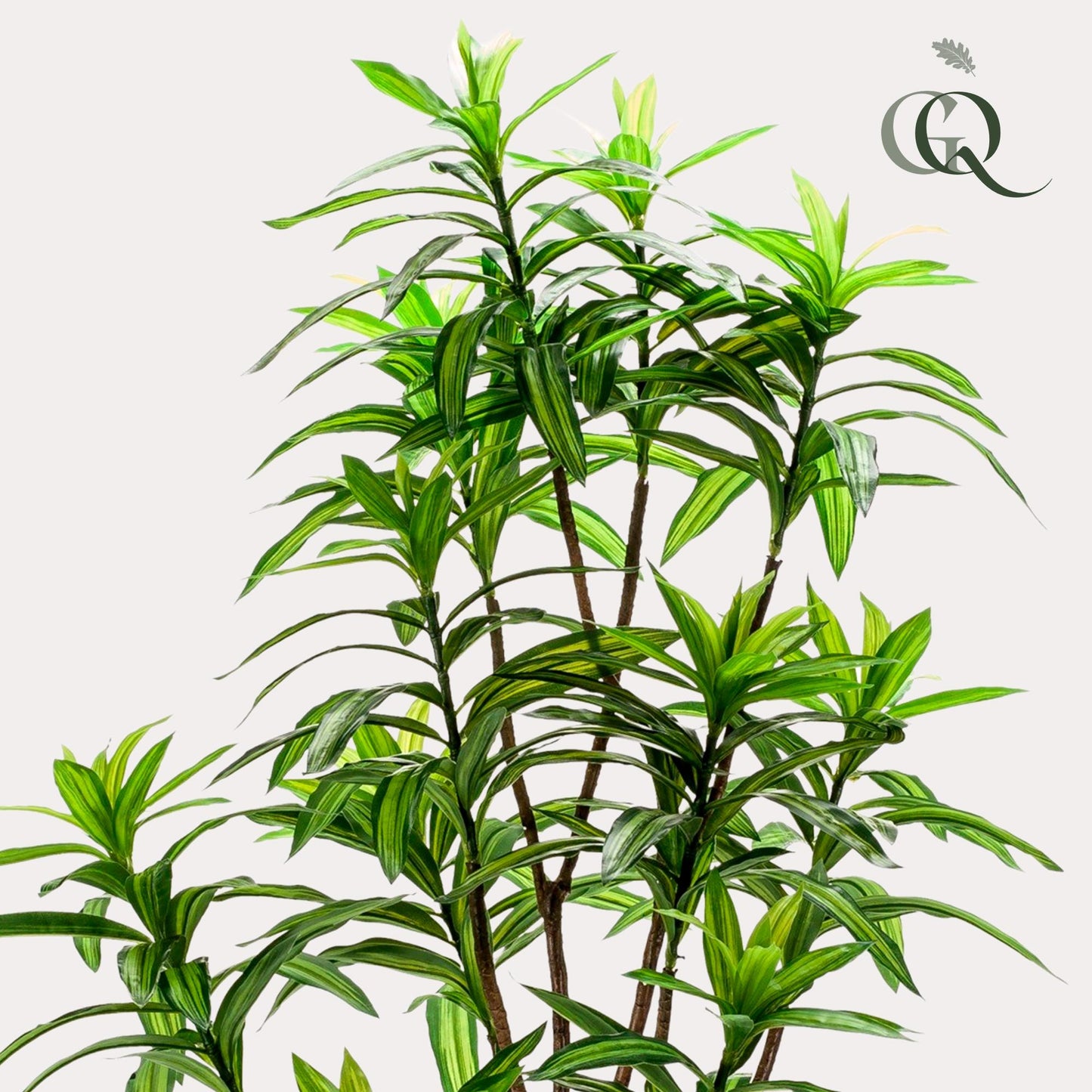 Kunstplant - Dracaena - Drakenboom - 130 cm - Forest Plants