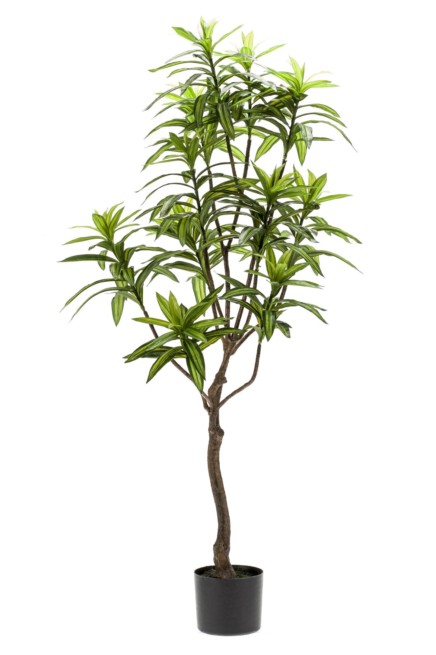 Kunstplant - Dracaena - Drakenboom - 130 cm - Forest Plants