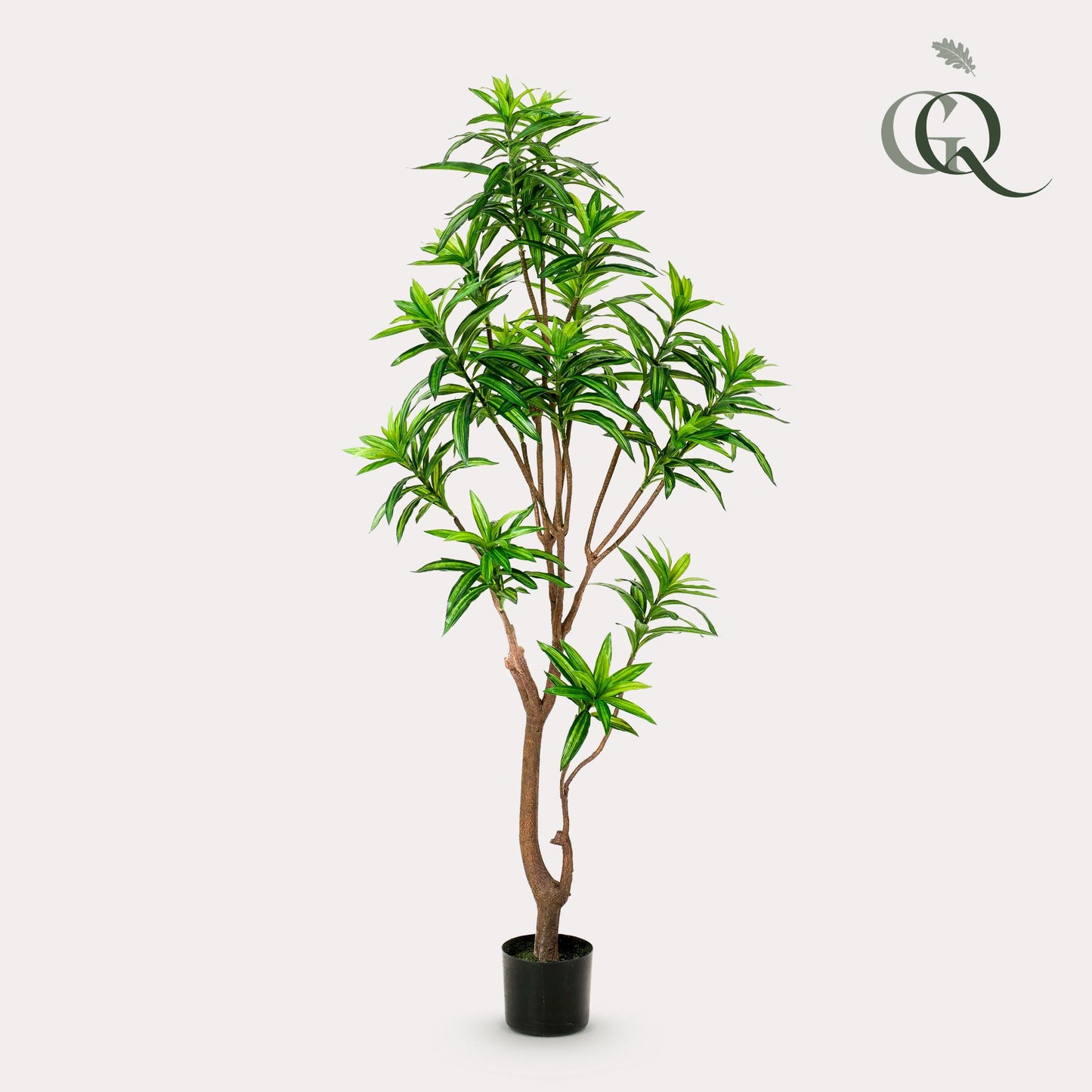 Kunstplant - Dracaena - Drakenboom - 155 cm - Forest Plants