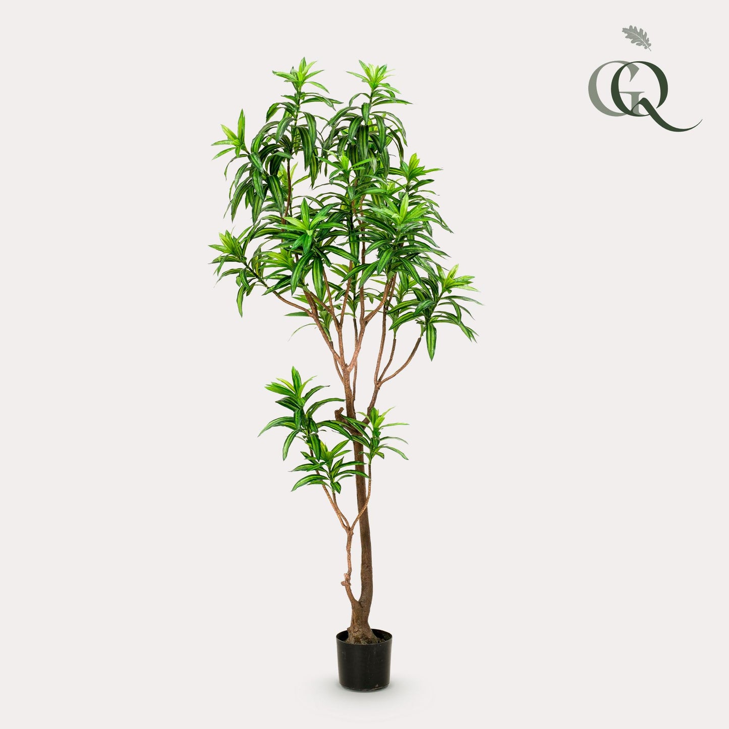 Kunstplant - Dracaena - Drakenboom - 190 cm - Forest Plants