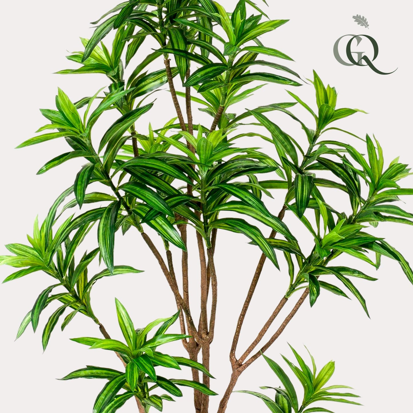 Kunstplant - Dracaena - Drakenboom - 155 cm - Forest Plants