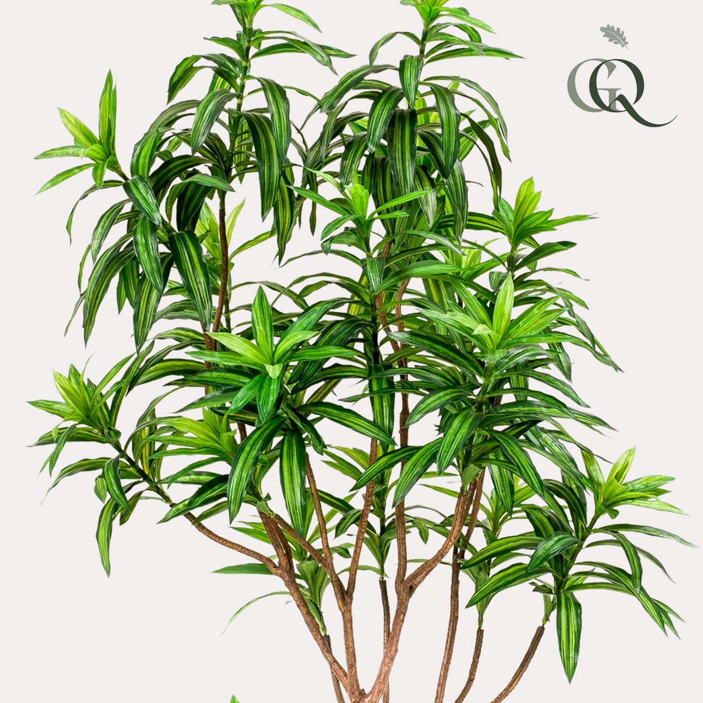 Kunstplant - Dracaena - Drakenboom - 190 cm - Forest Plants