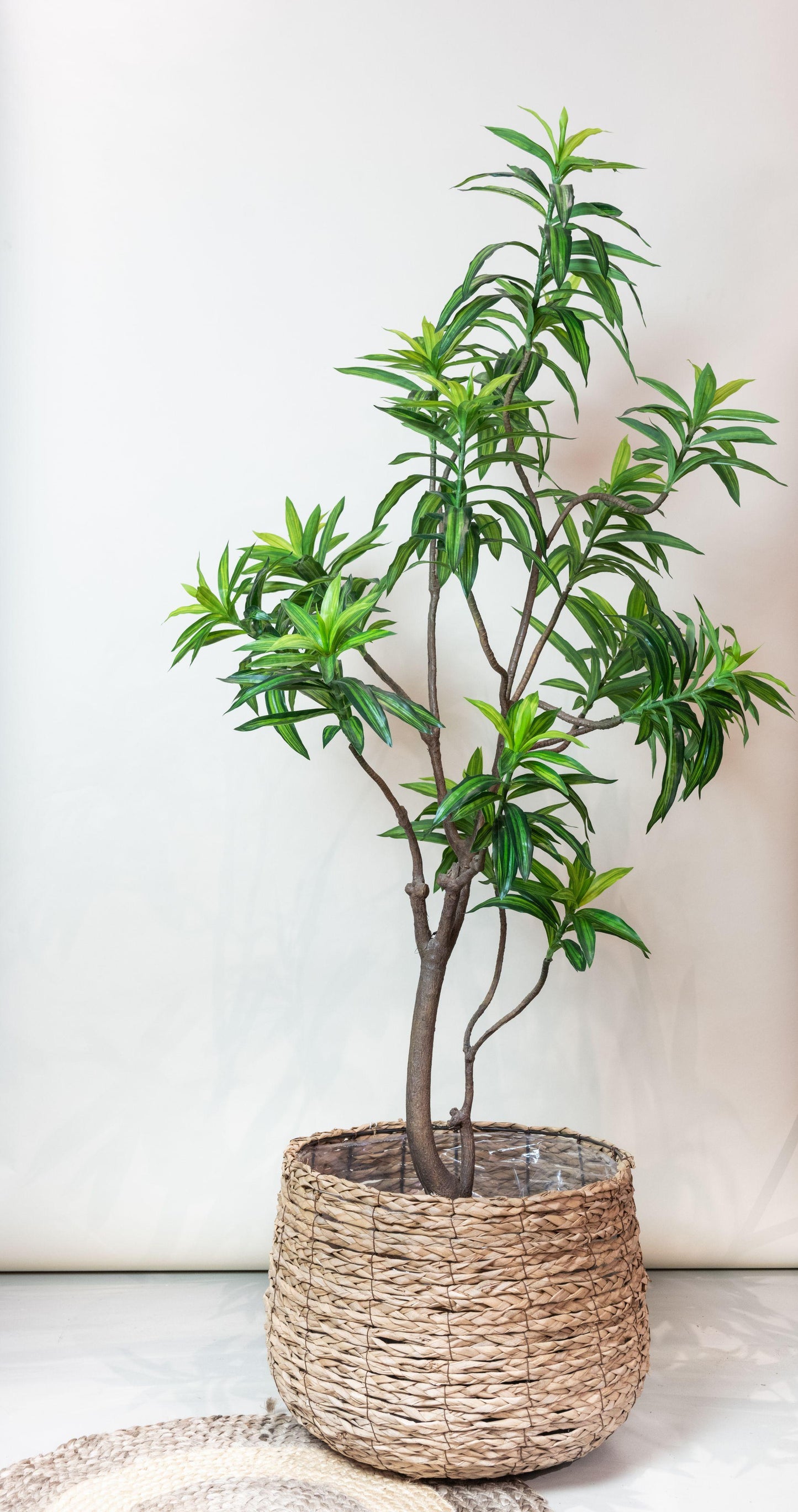 Kunstplant - Dracaena - Drakenboom - 190 cm - Forest Plants