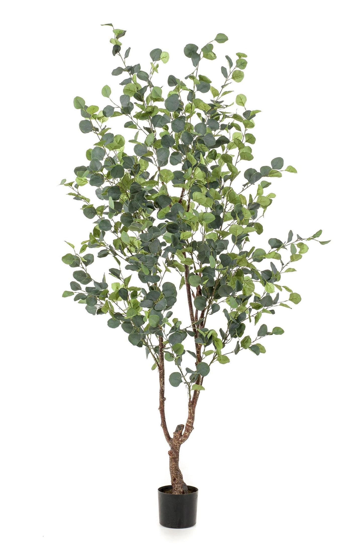 Kunstplant - Eucalyptus - Blauwe Gomboom - 180 cm - Forest Plants