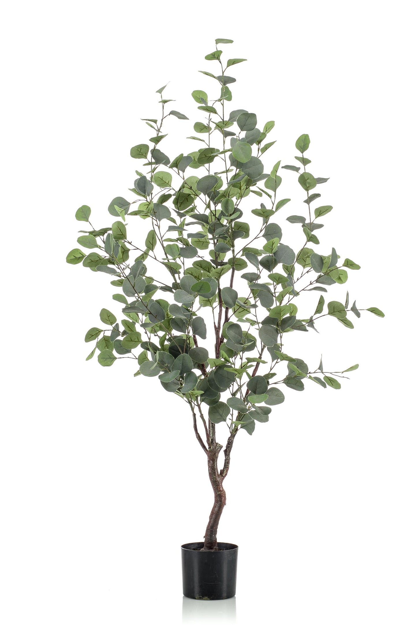 Kunstplant - Eucalyptus - Blauwe Gomboom - 120 cm - Forest Plants
