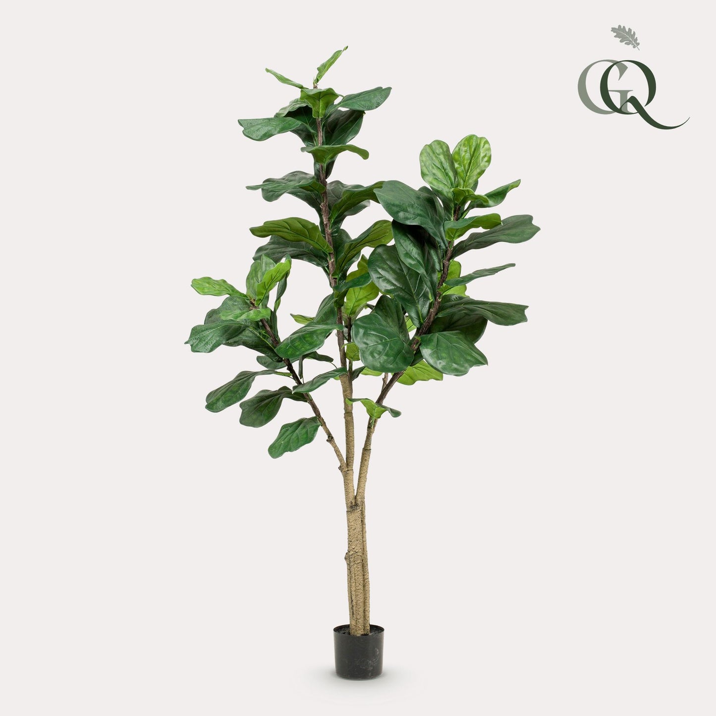 Kunstplant - Ficus Lyrata - Tabaksplant - 180 cm - Forest Plants